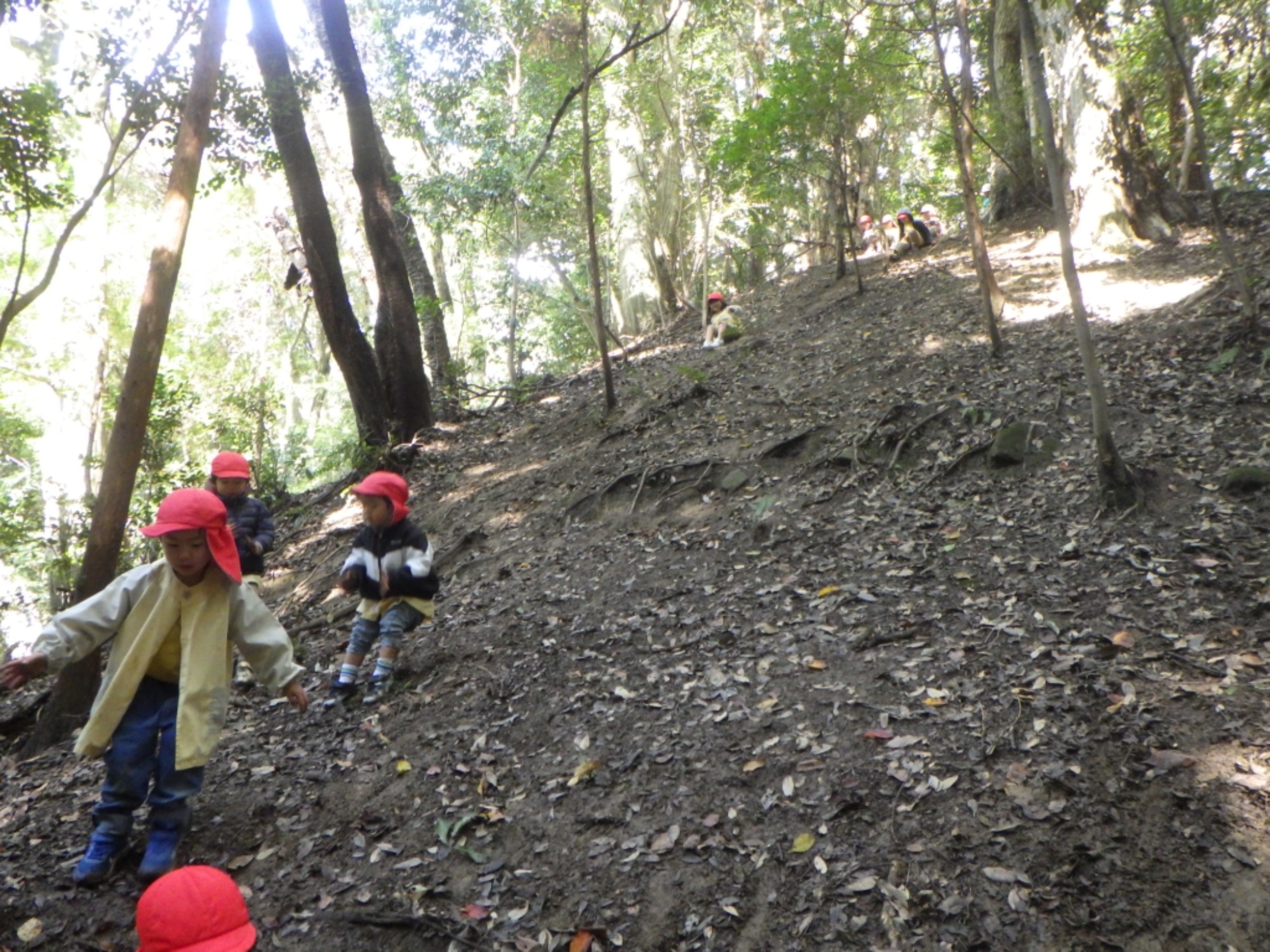 【年中】11/10　村積山　園外保育（3/3）