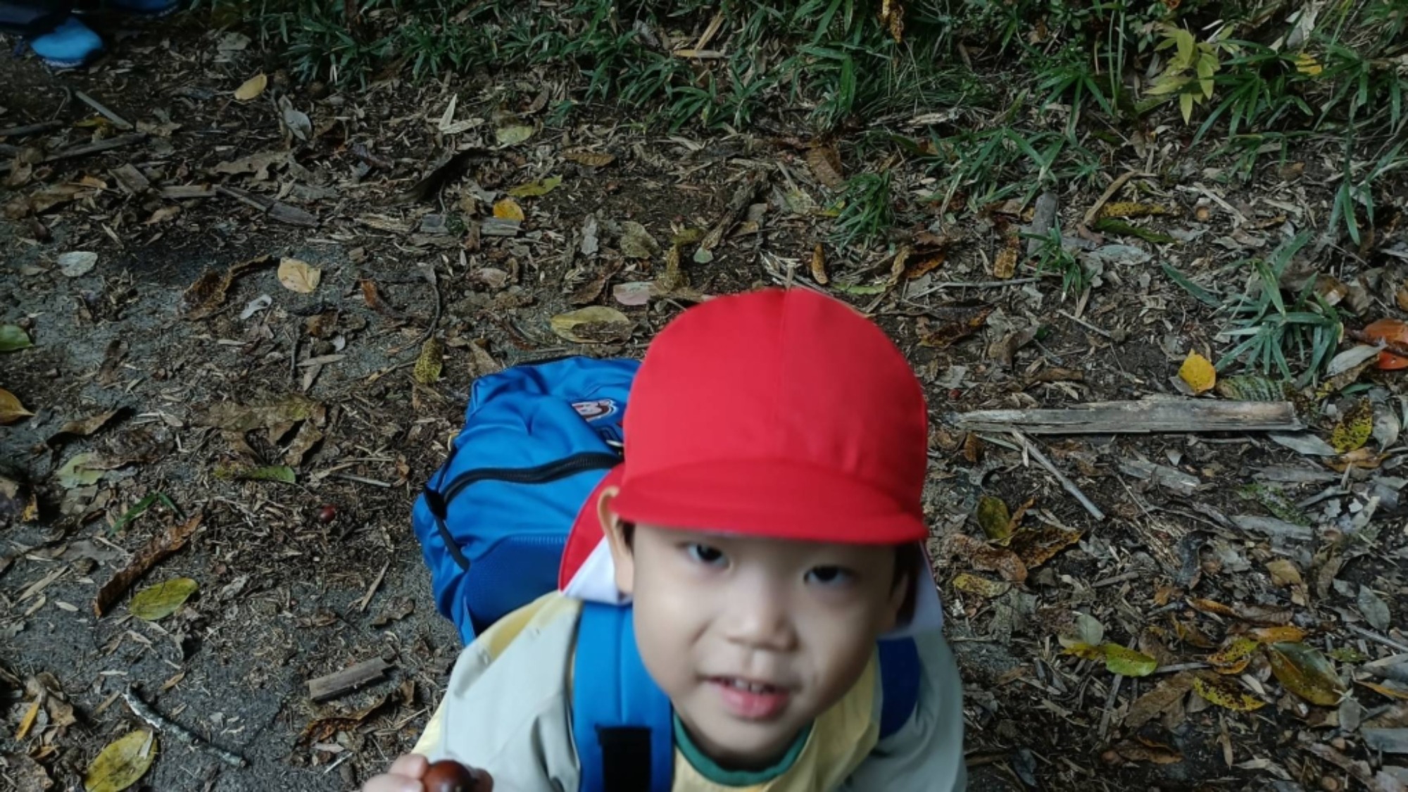 【年少】11/11　村積山　園外保育（1/3）