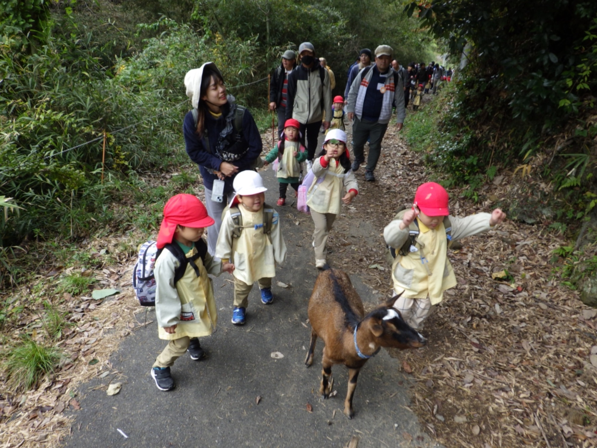 【年少】11/11　村積山　園外保育（1/3）
