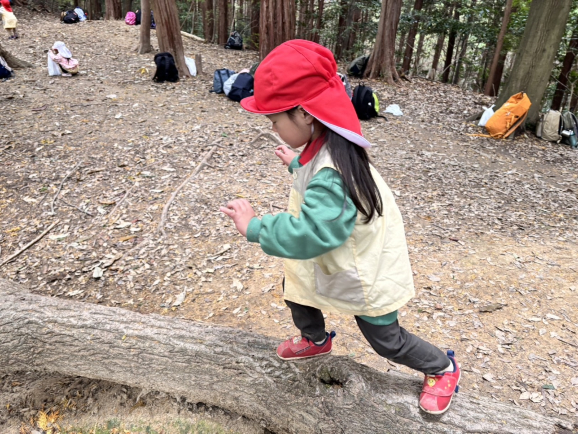 【年少】11/11　村積山　園外保育（2/3）