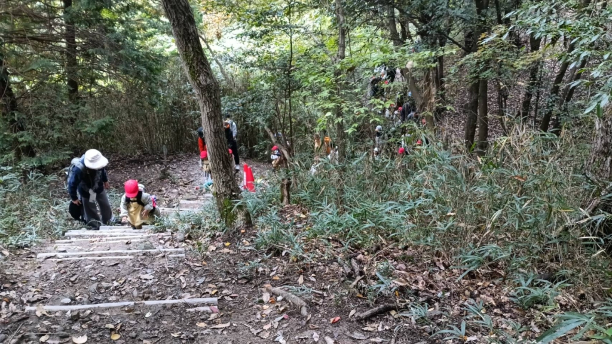 【年少】11/11　村積山　園外保育（2/3）