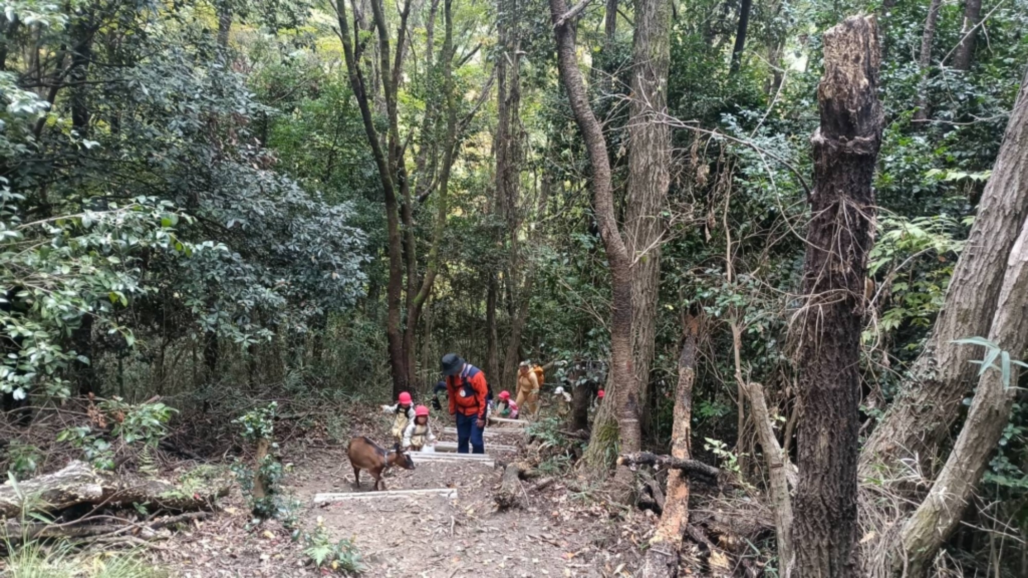 【年少】11/11　村積山　園外保育（2/3）