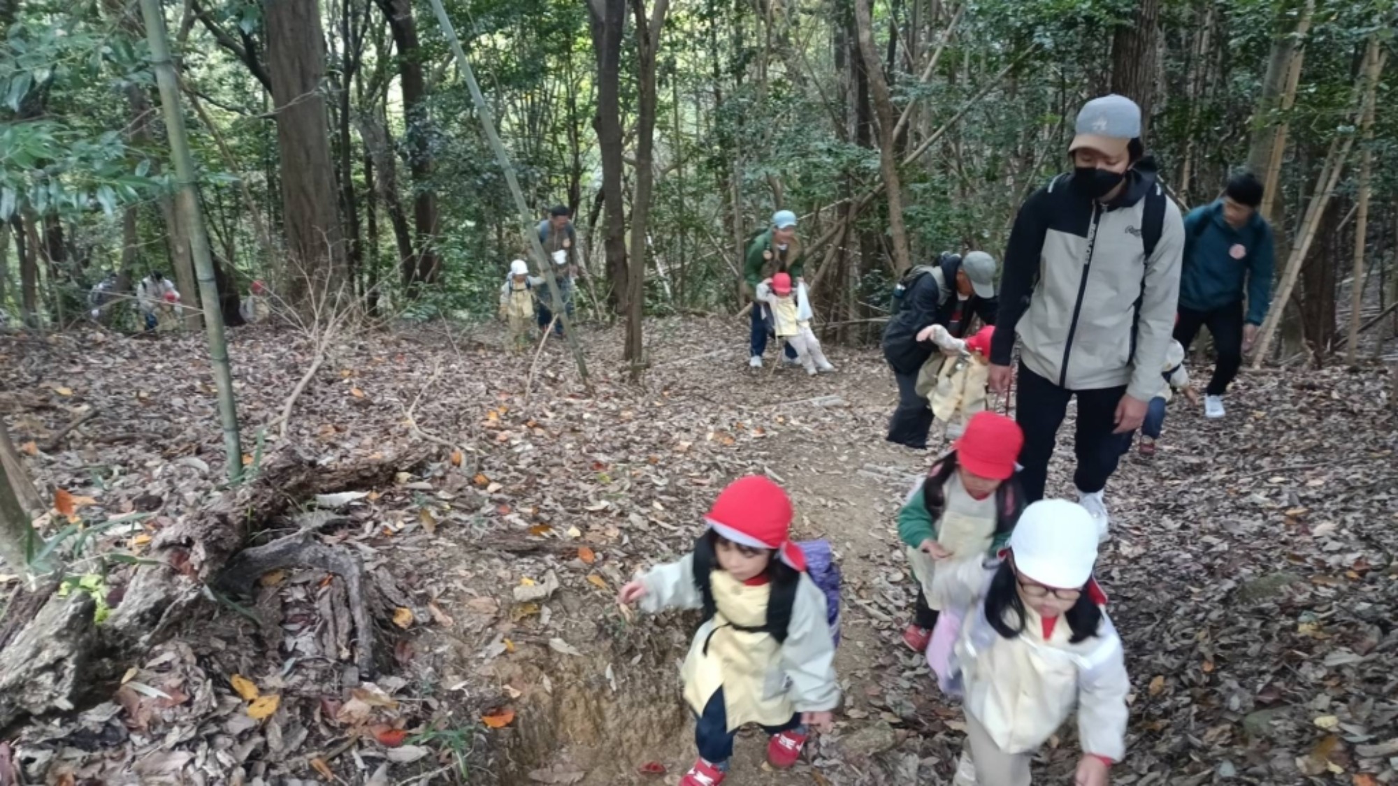 【年少】11/11　村積山　園外保育（2/3）