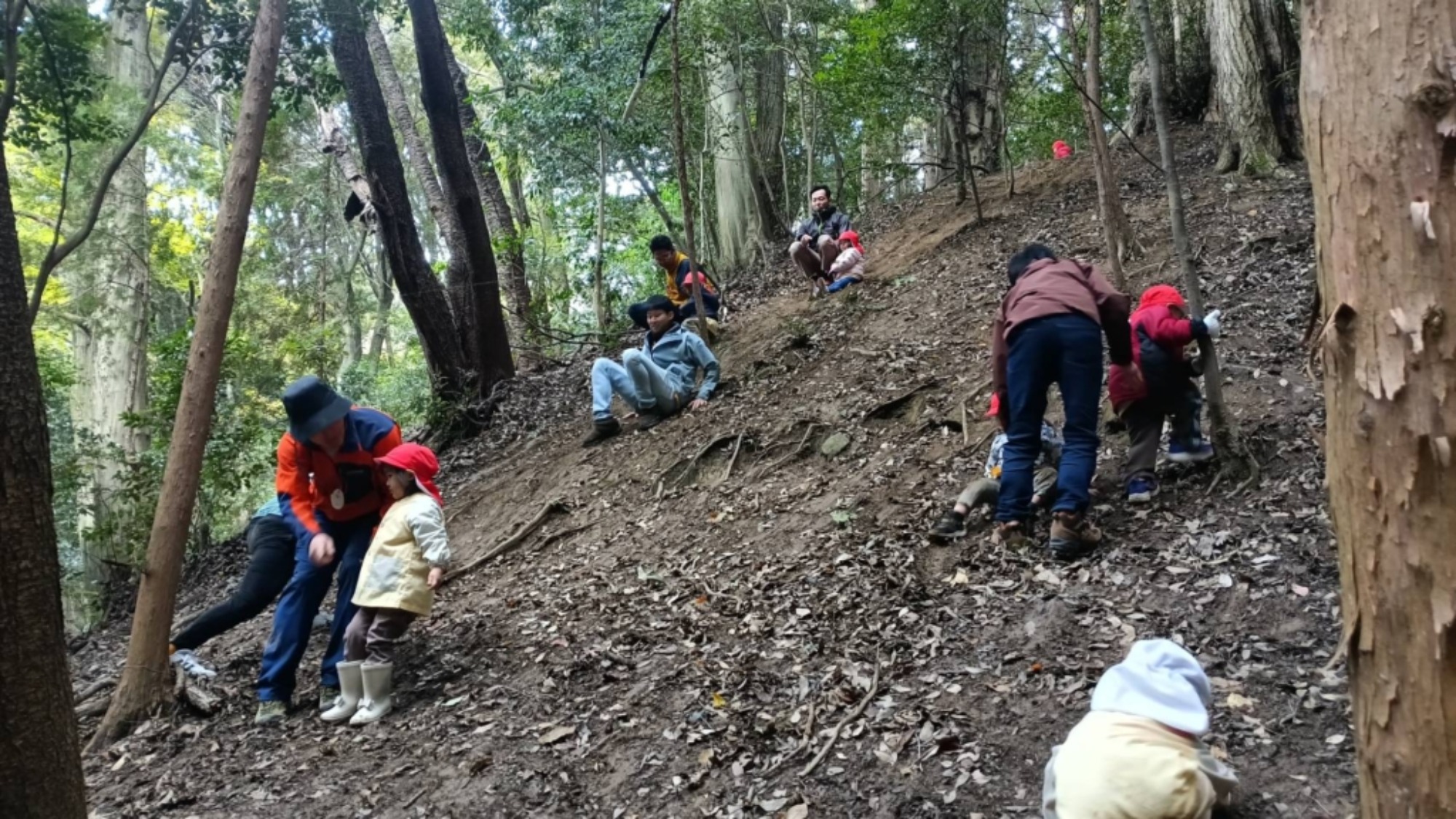 【年少】11/11　村積山　園外保育（3/3）