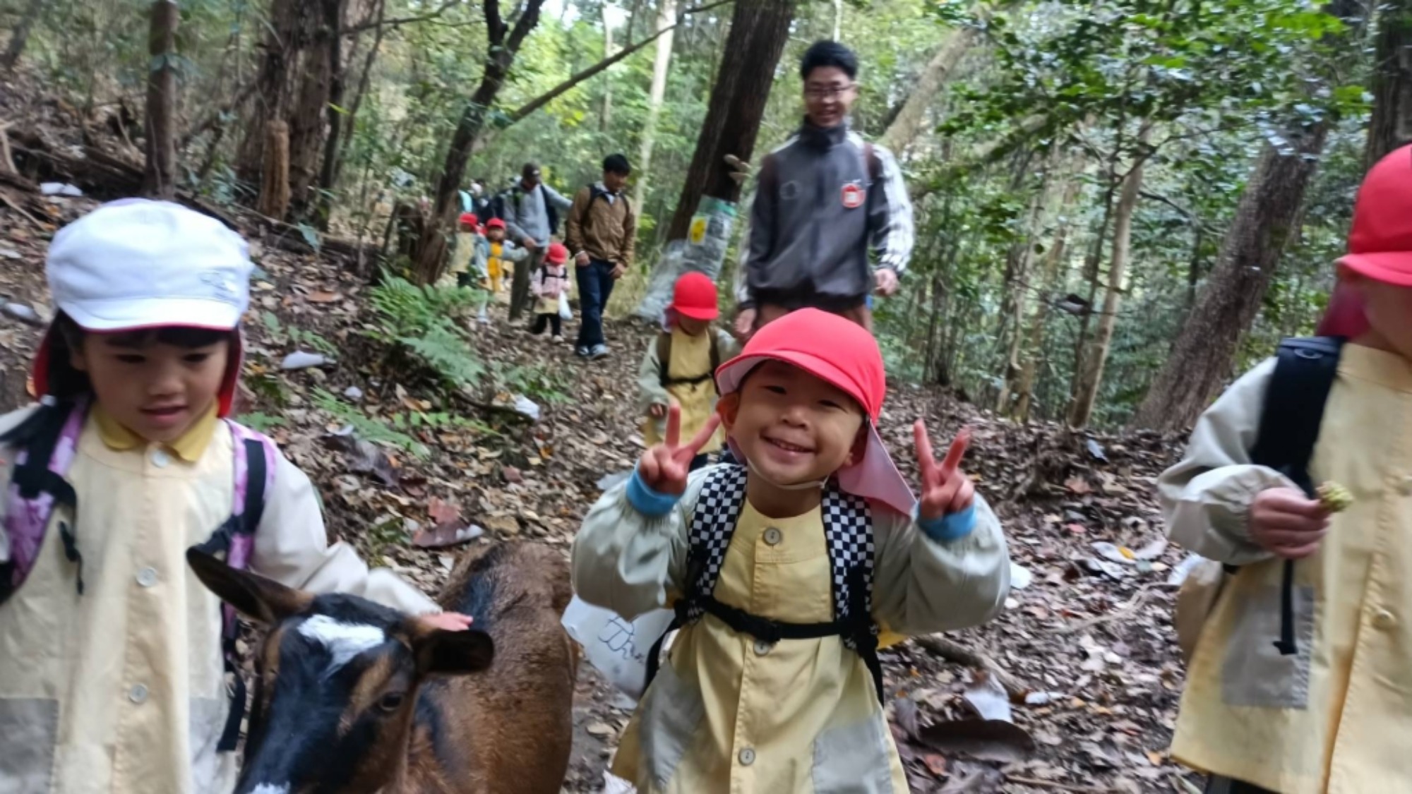 【年少】11/11　村積山　園外保育（3/3）