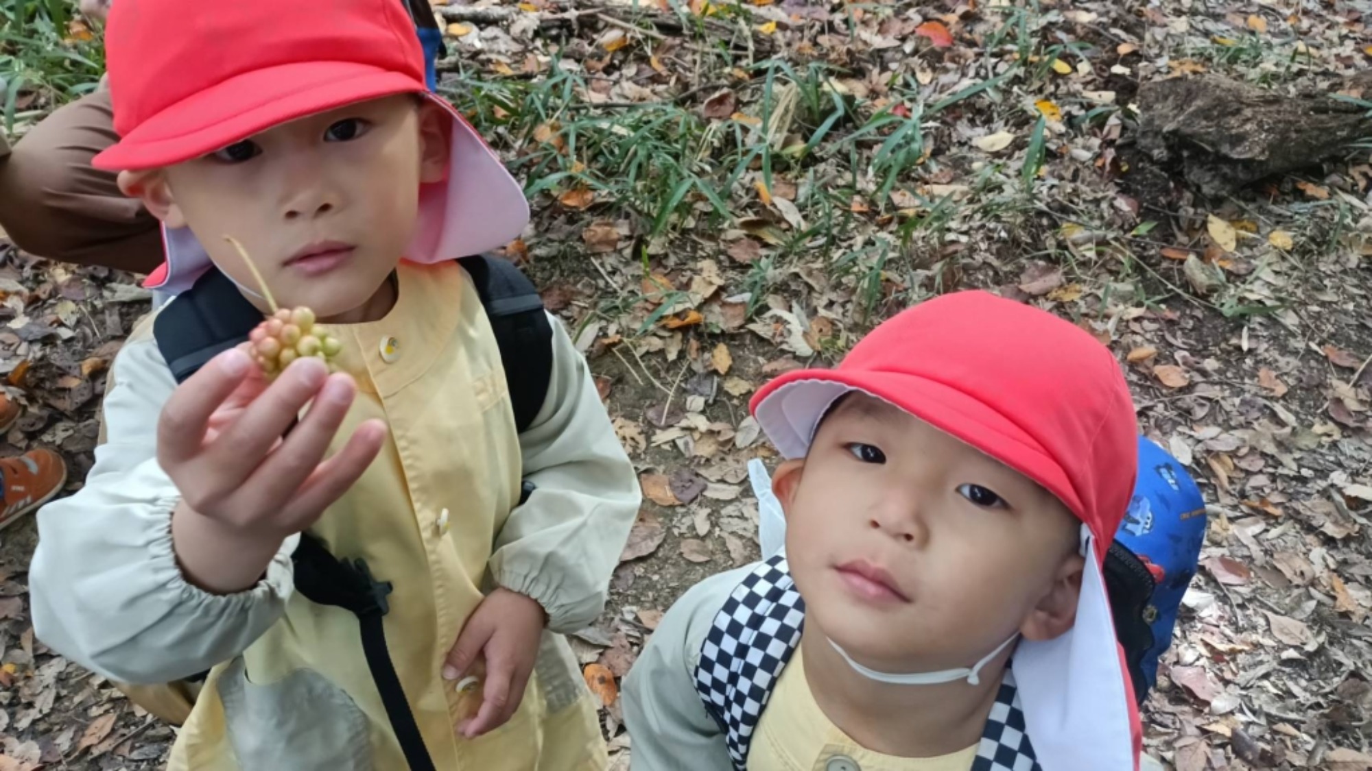 【年少】11/11　村積山　園外保育（3/3）