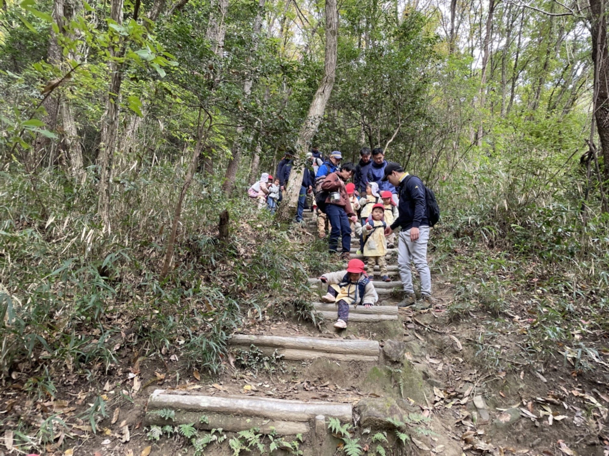 【年少】11/11　村積山　園外保育（3/3）