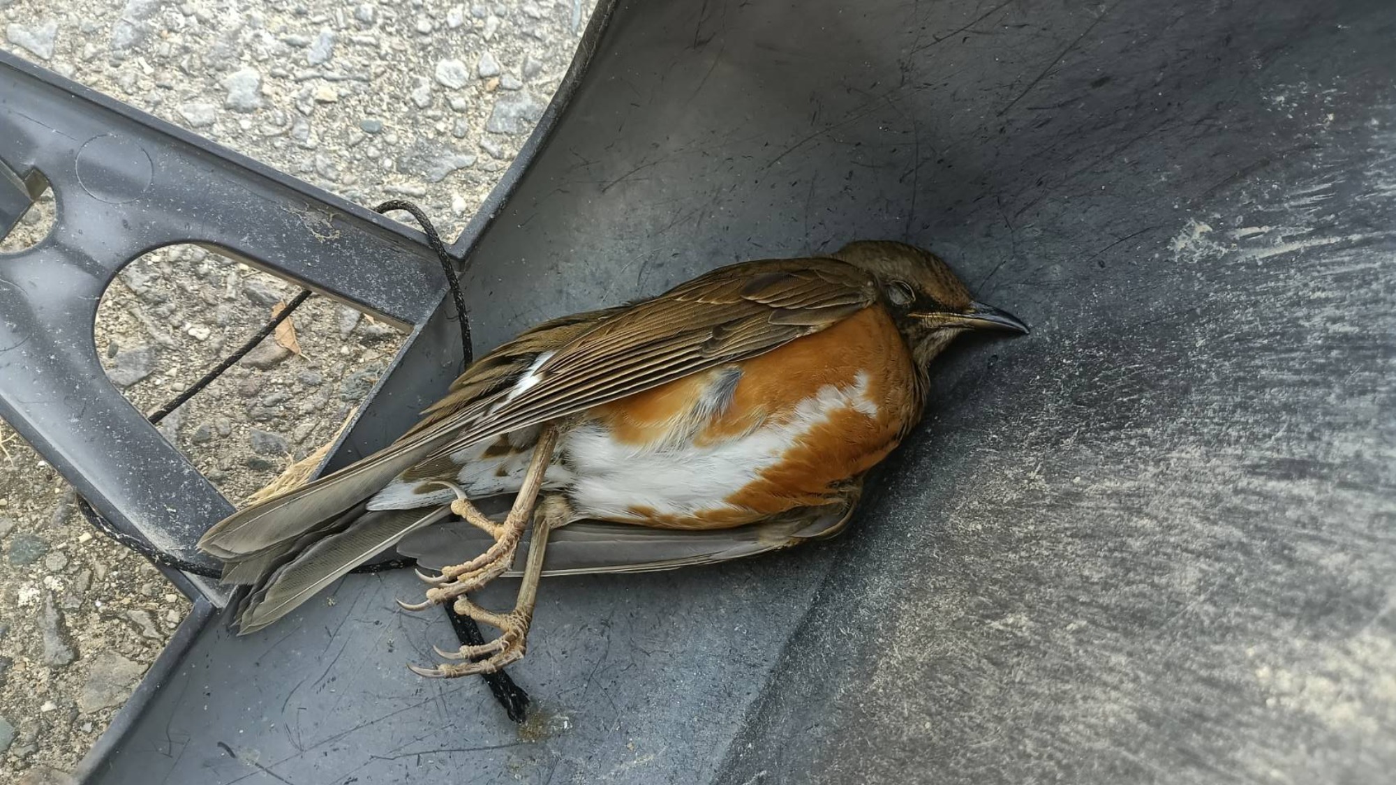 バザーありがとうございました！