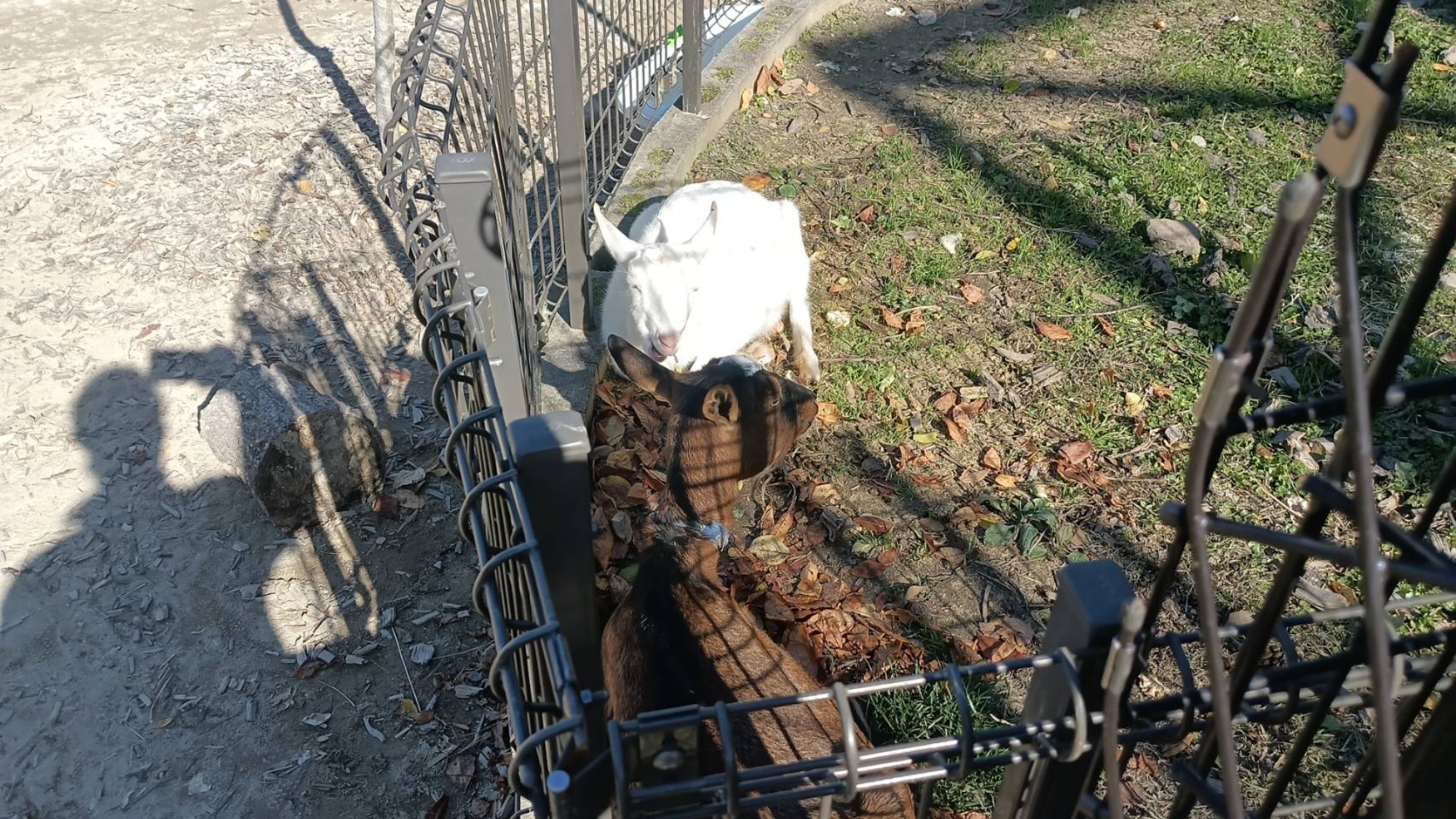 バザーありがとうございました！