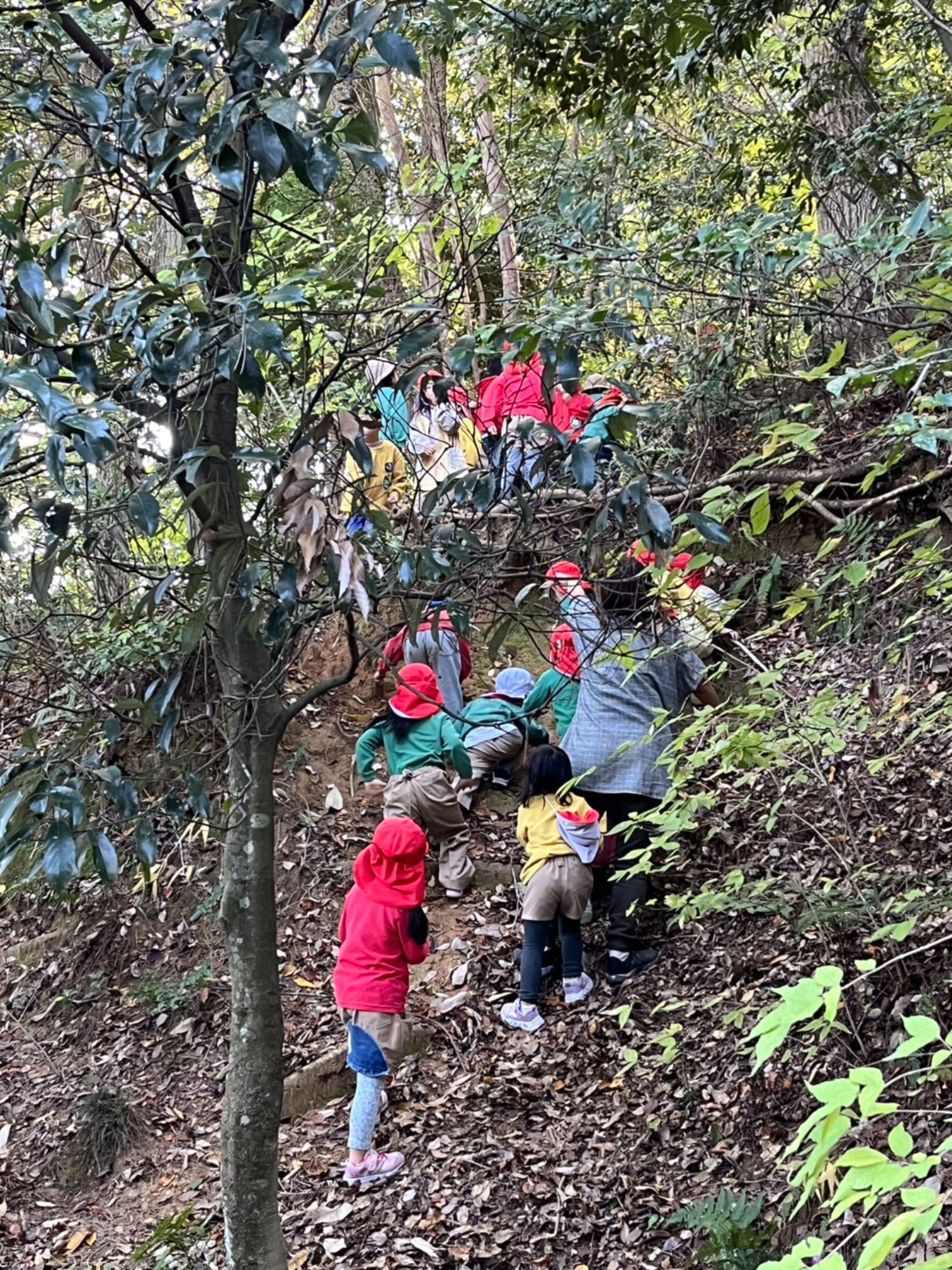 忍者あらわる！