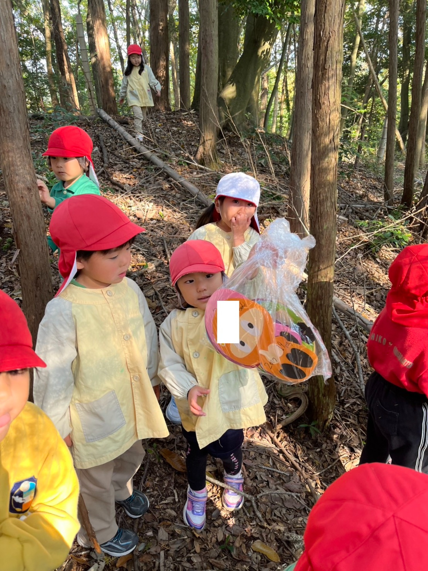 忍者あらわる！