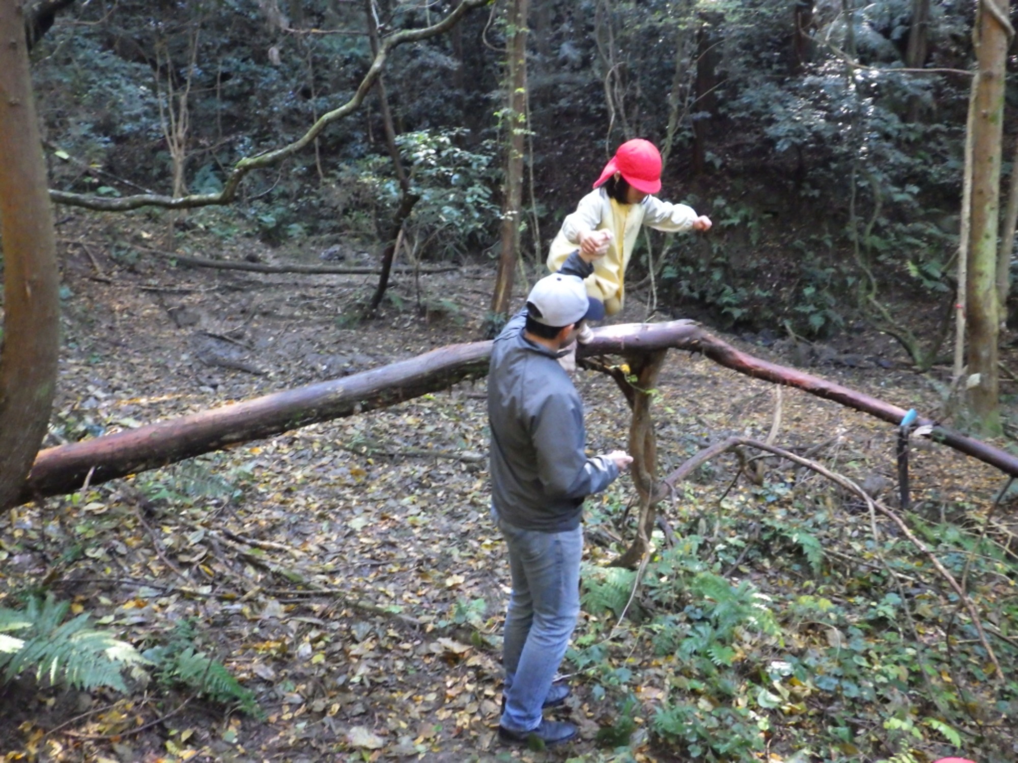 【年中】11/26　忍者の修行場へ！園外保育（1/3）