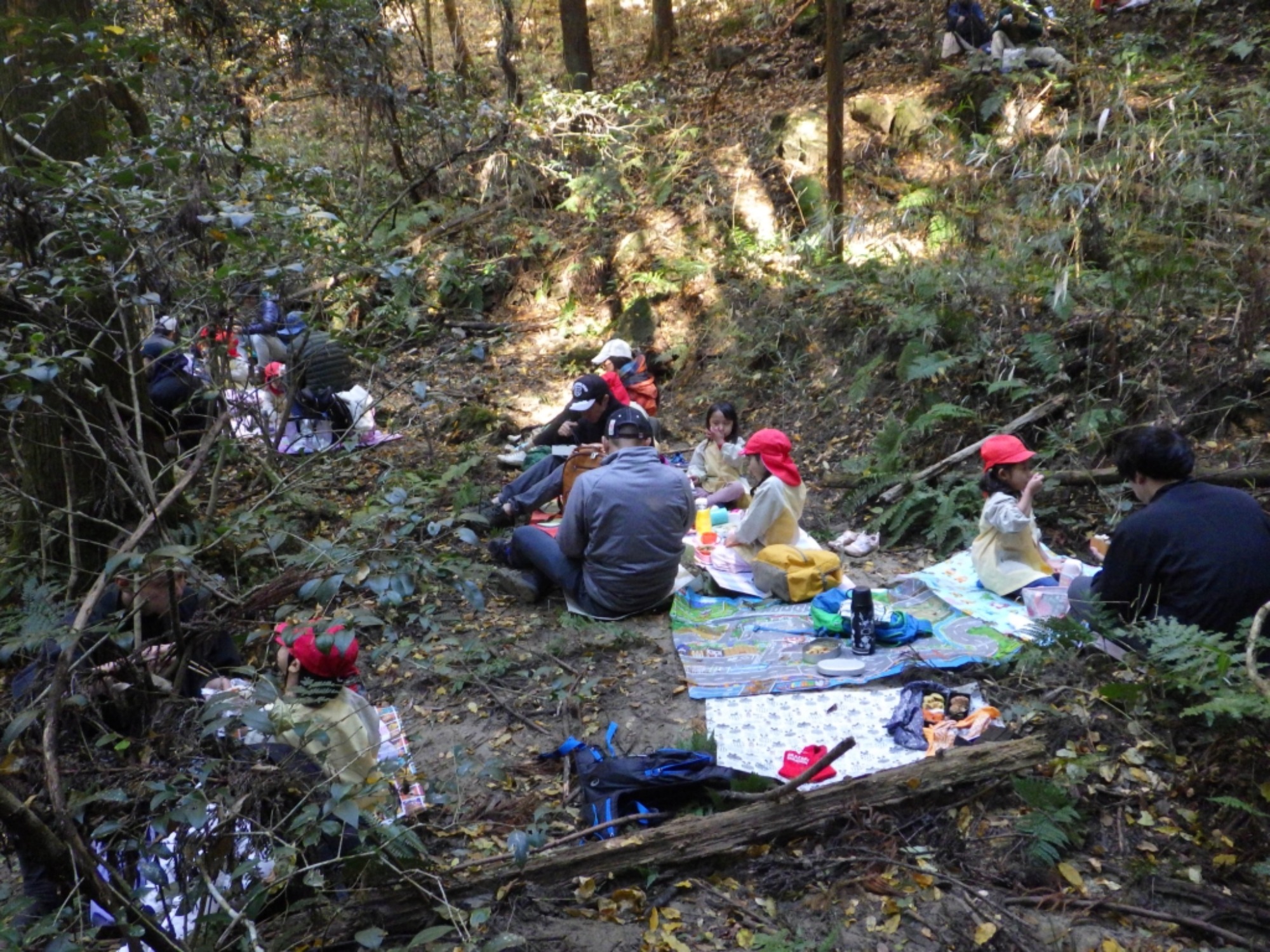 【年中】11/26　忍者の修行場へ！園外保育（2/3）