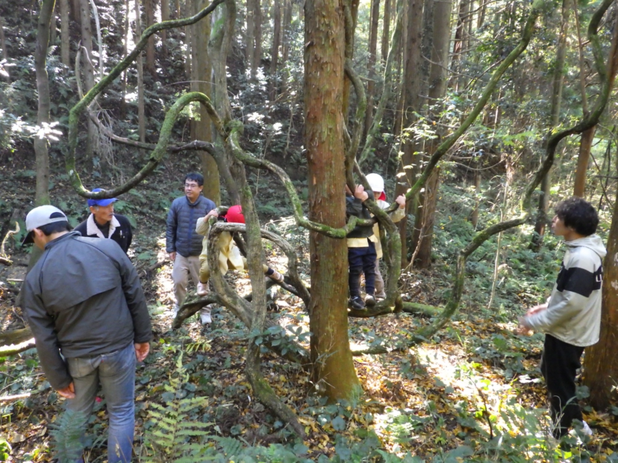 【年中】11/26　忍者の修行場へ！園外保育（2/3）