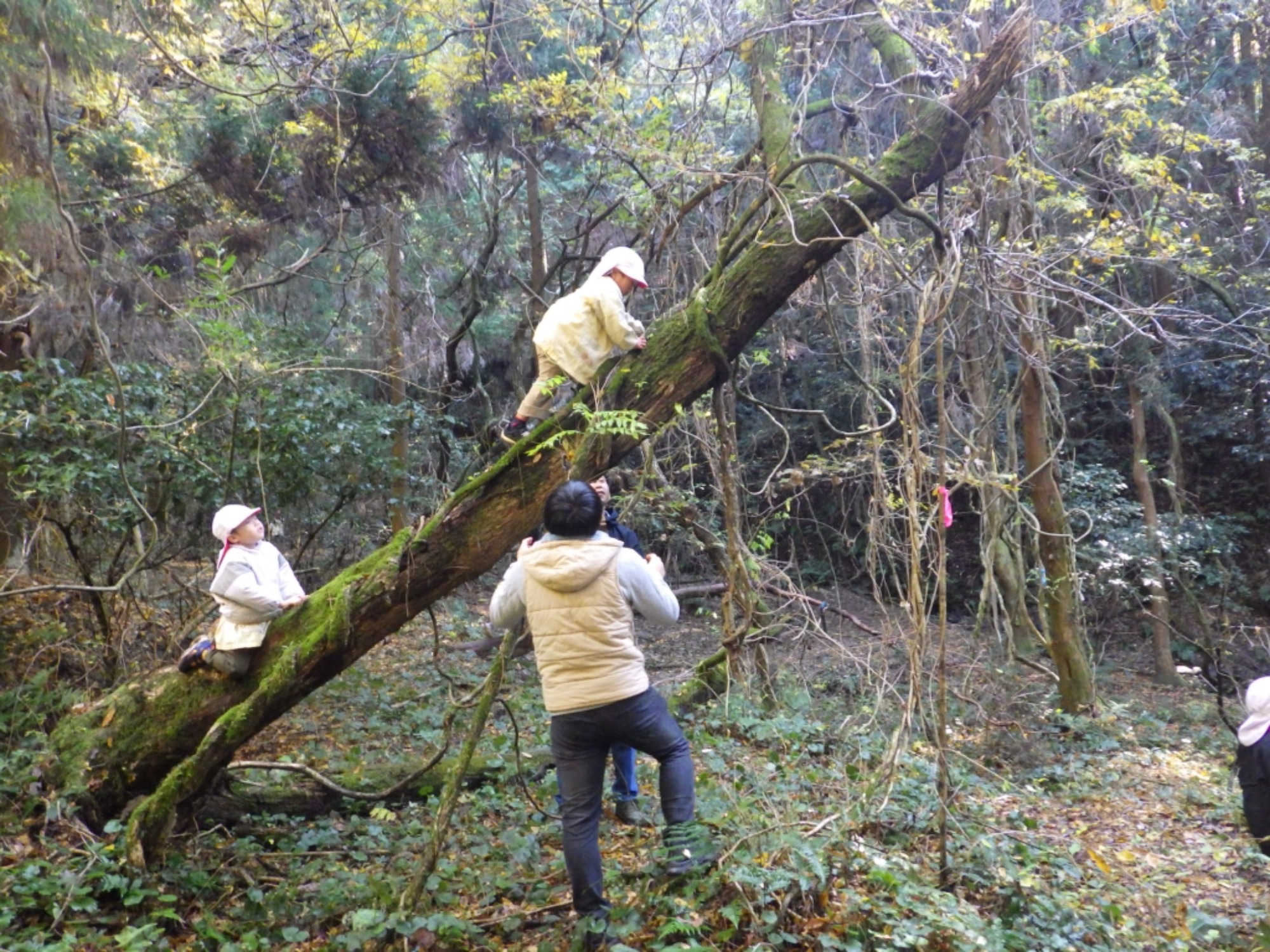 【年中】11/26　忍者の修行場へ！園外保育（2/3）