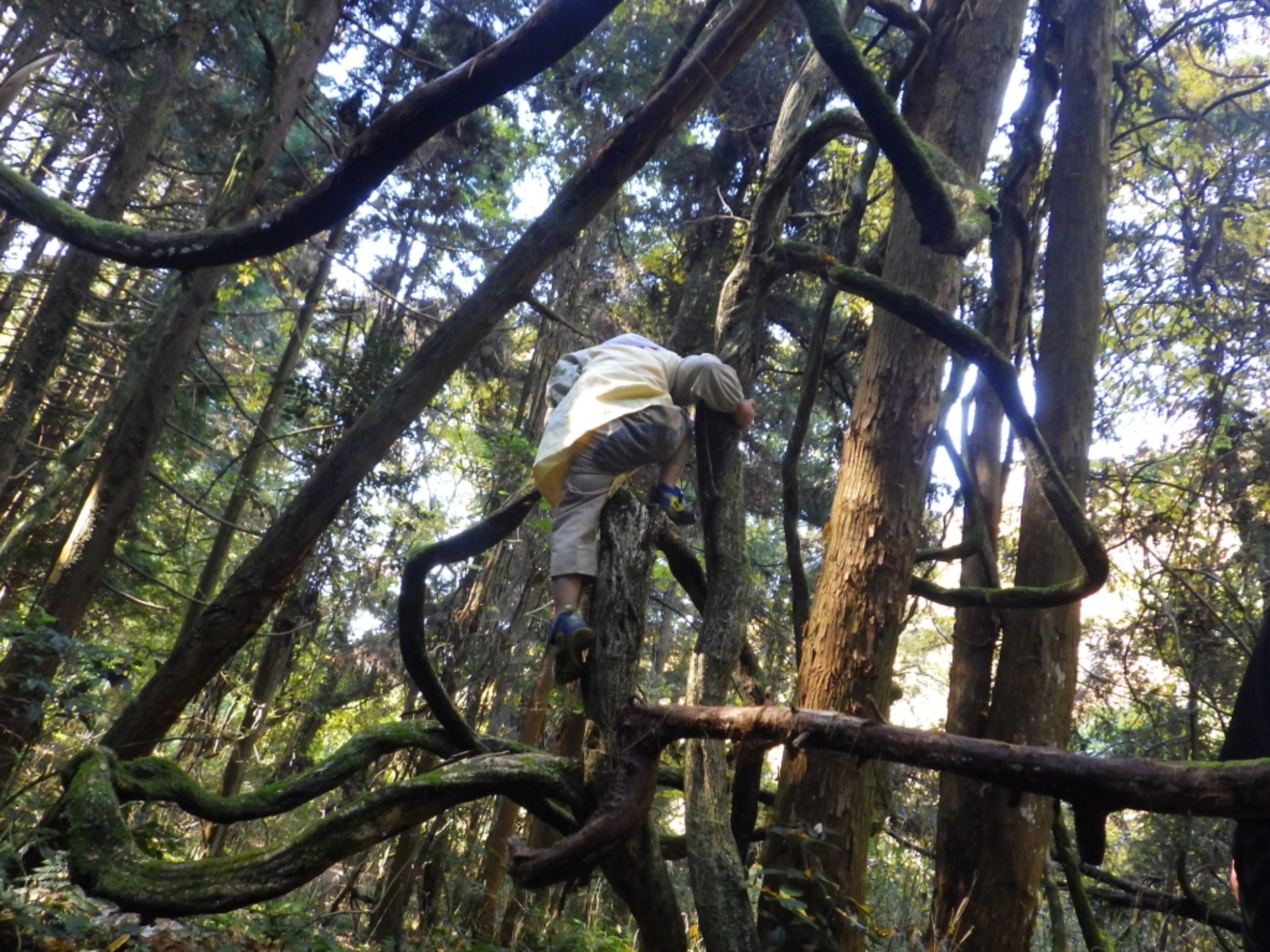 【年中】11/26　忍者の修行場へ！園外保育（2/3）