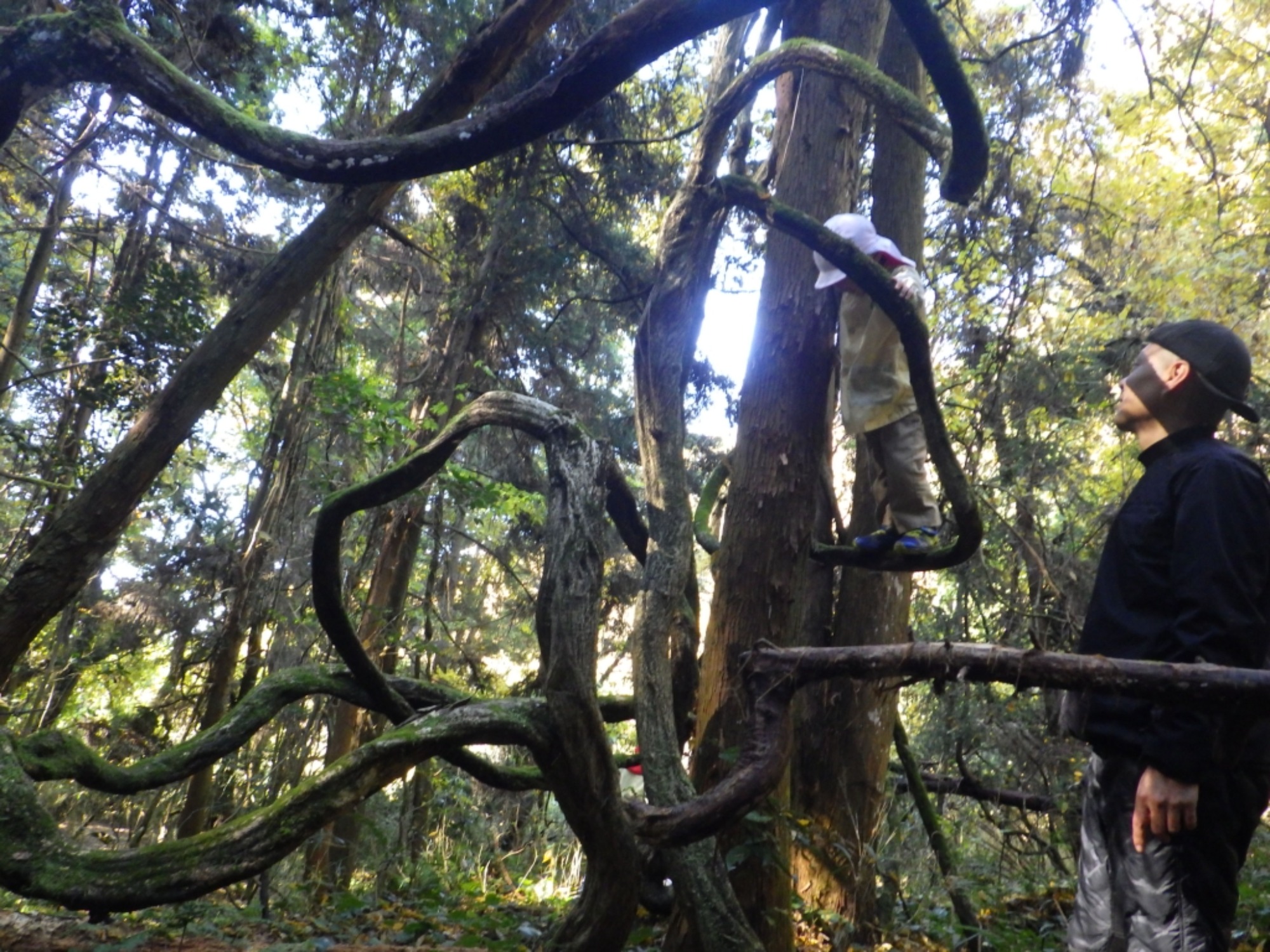 【年中】11/26　忍者の修行場へ！園外保育（2/3）