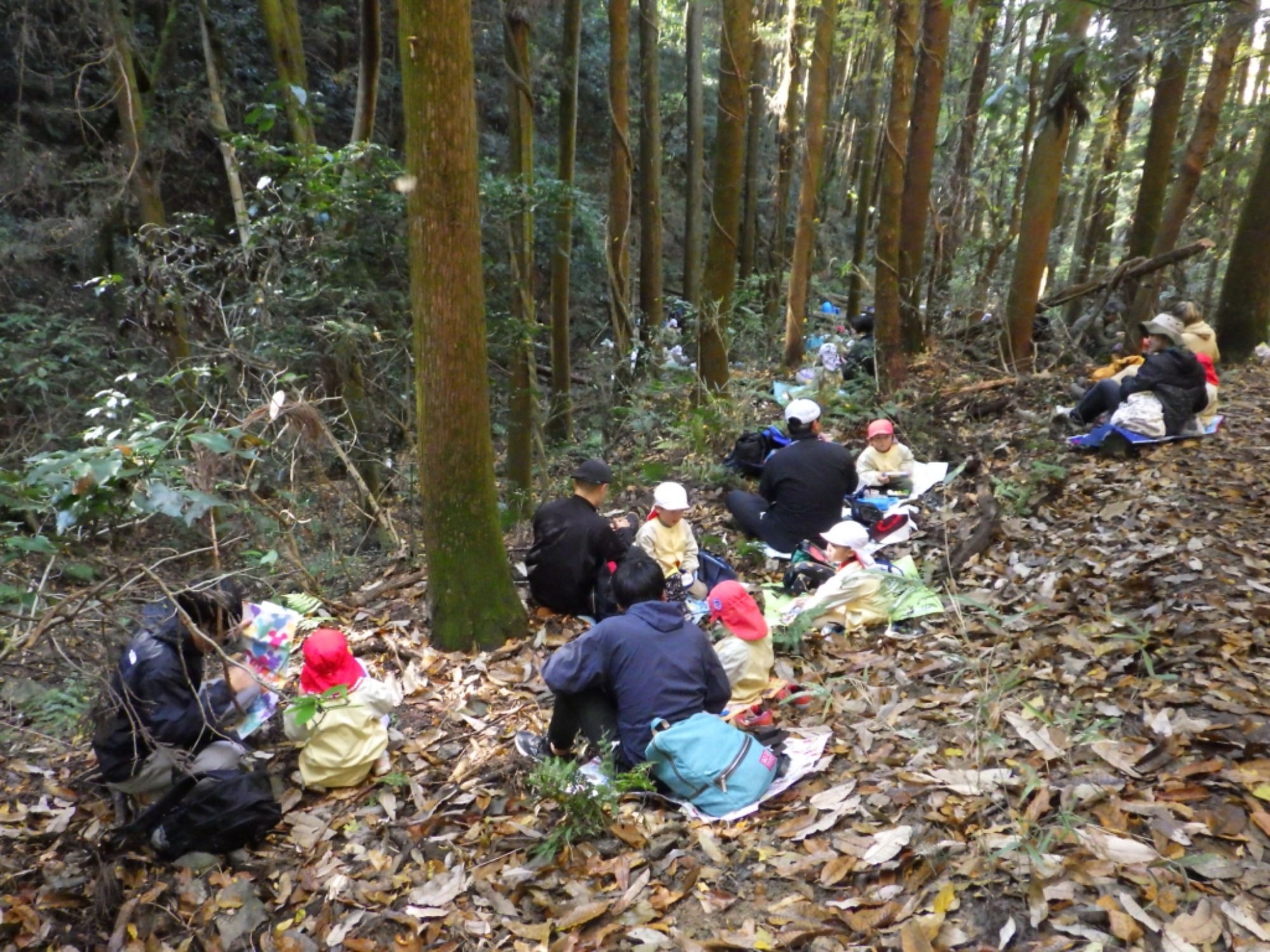 【年中】11/26　忍者の修行場へ！園外保育（2/3）