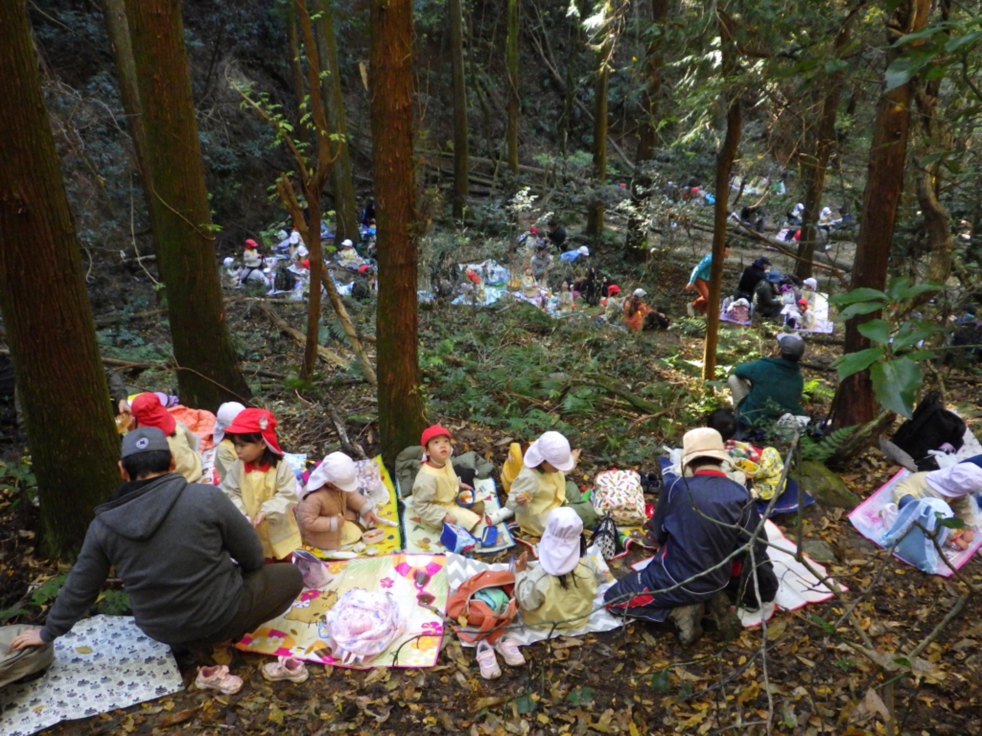 【年中】11/26　忍者の修行場へ！園外保育（2/3）