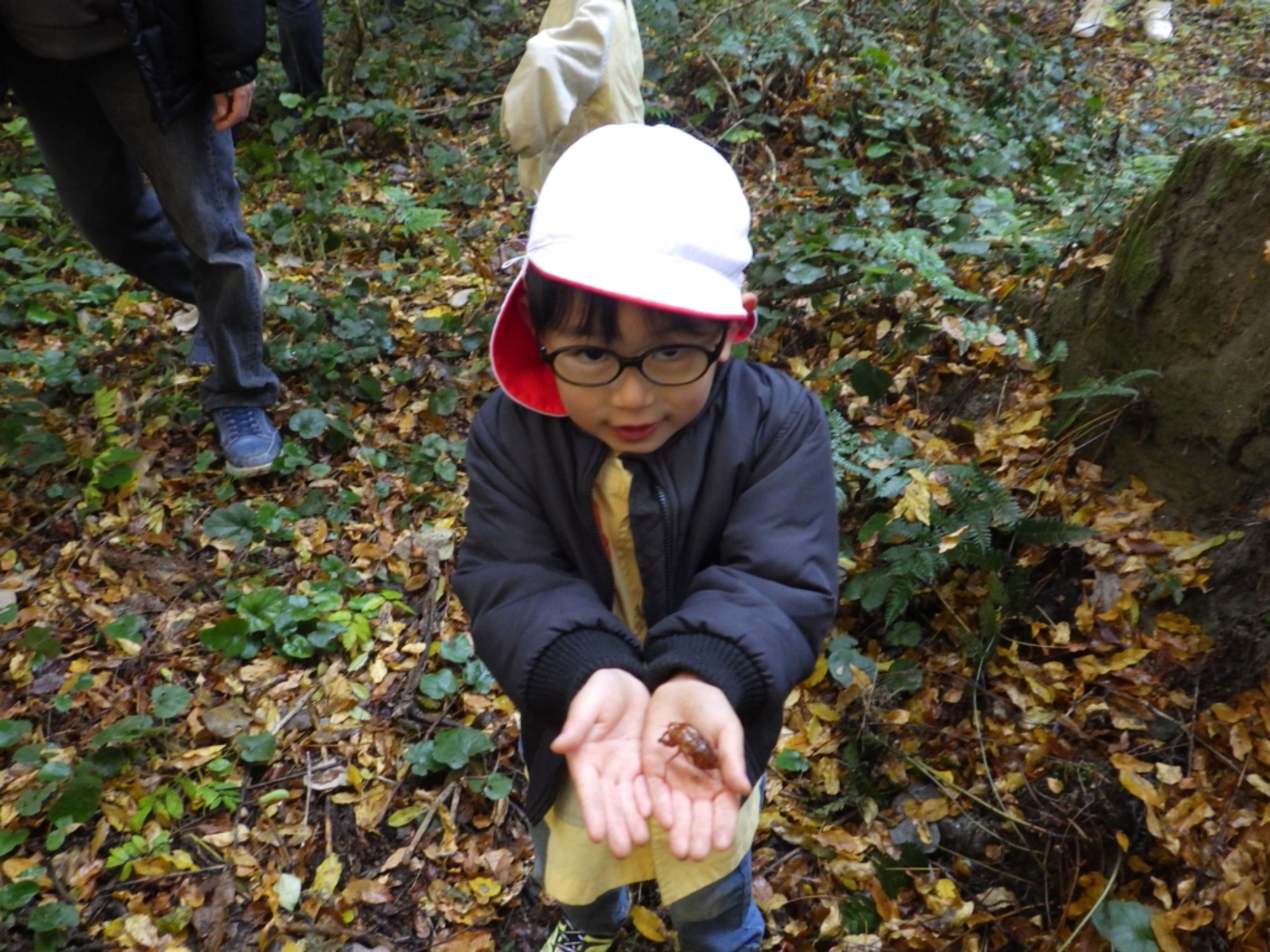 【年中】11/26　忍者の修行場へ！園外保育（3/3）