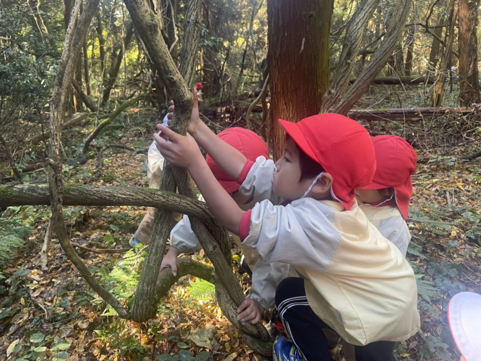 【年中】11/26　忍者の修行場へ！園外保育（3/3）