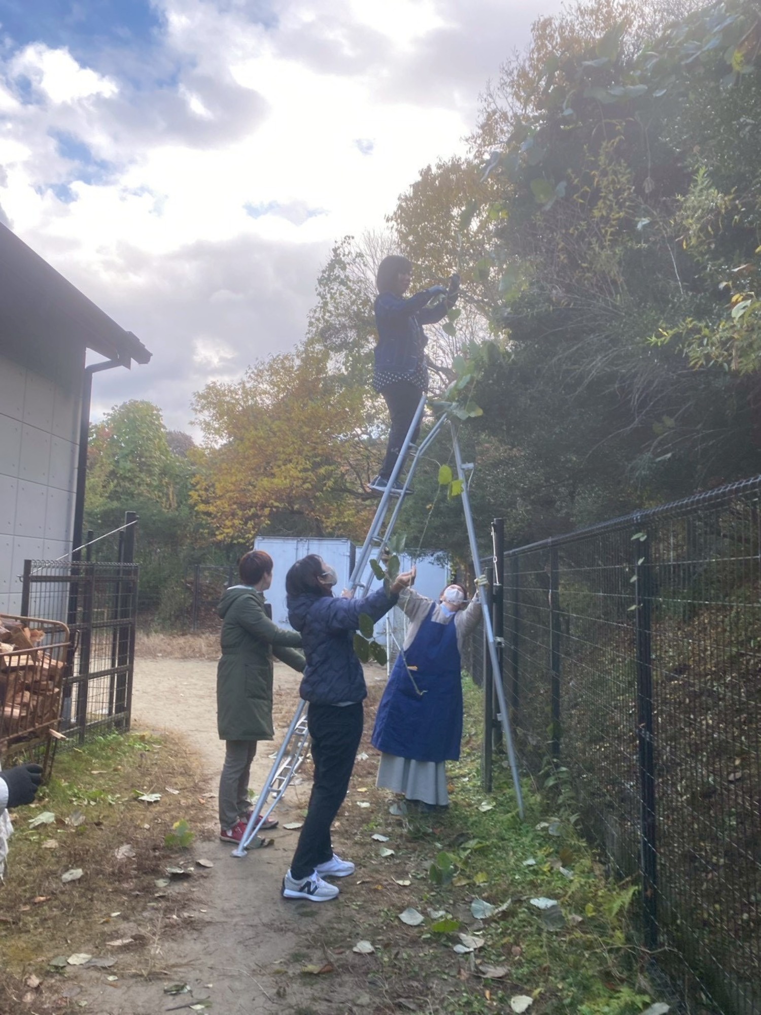 クリスマスリース♪