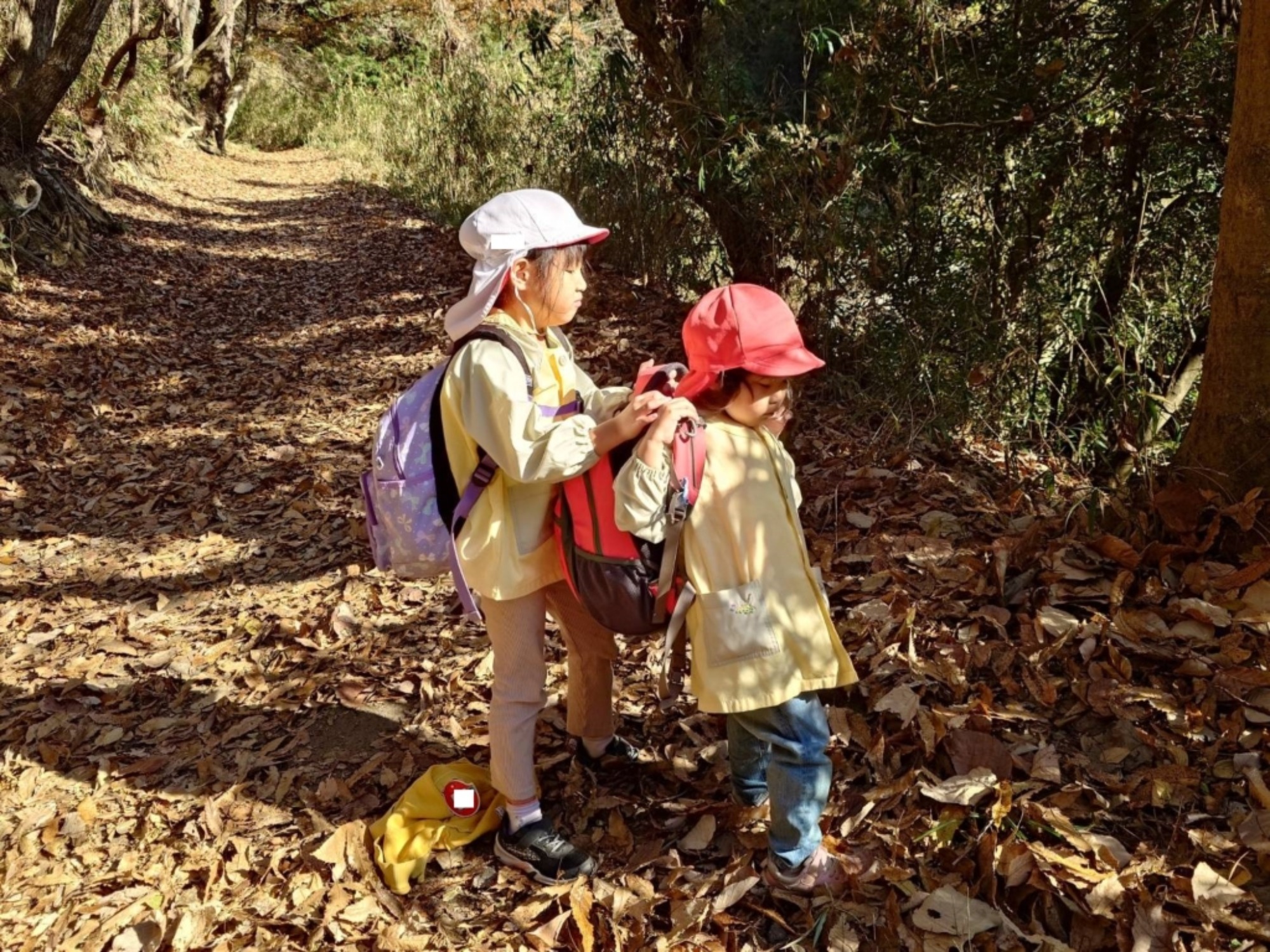 【年少・年長】12/9 合同園外保育(1/3)