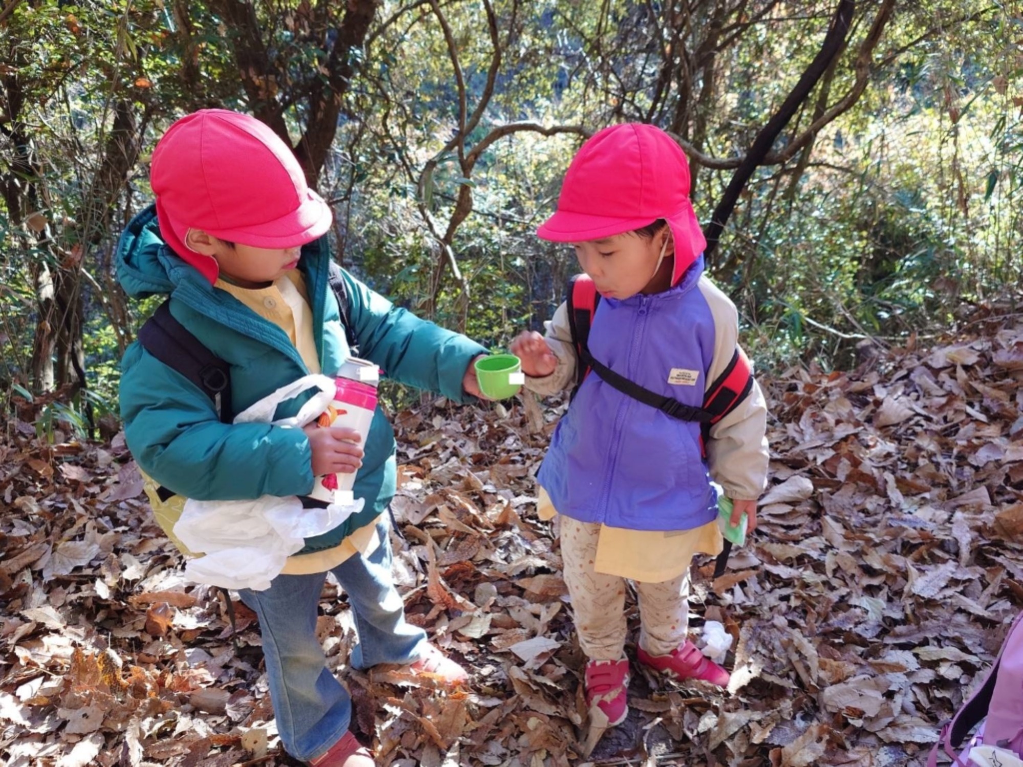 【年少・年長】12/9 合同園外保育(1/3)