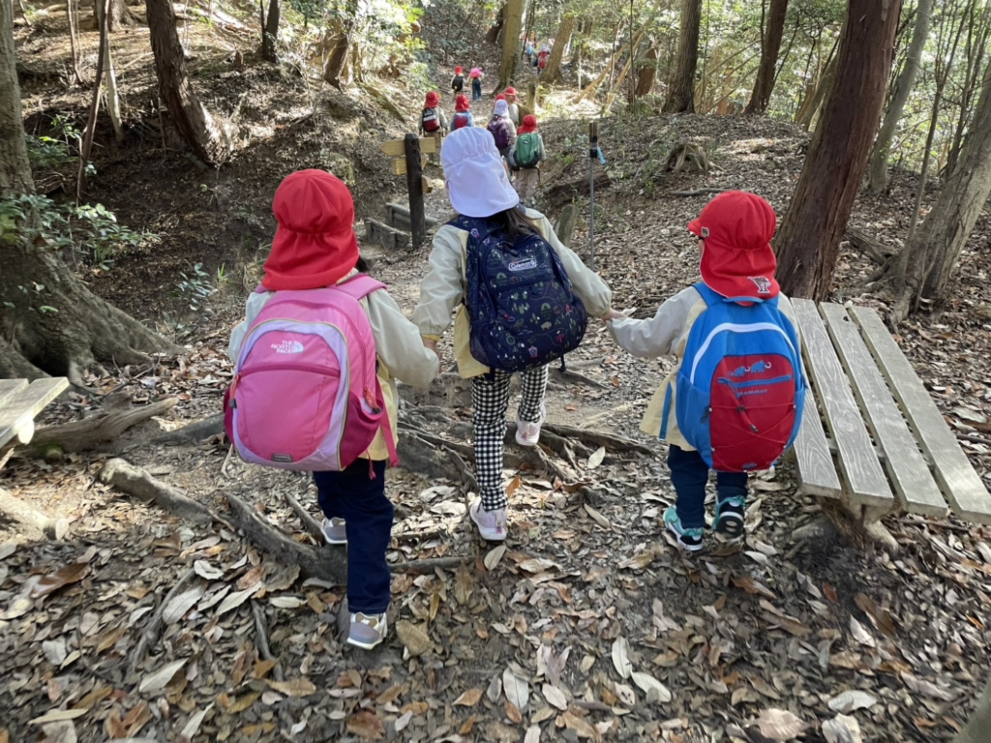 【年少・年長】12/9 合同園外保育(1/3)