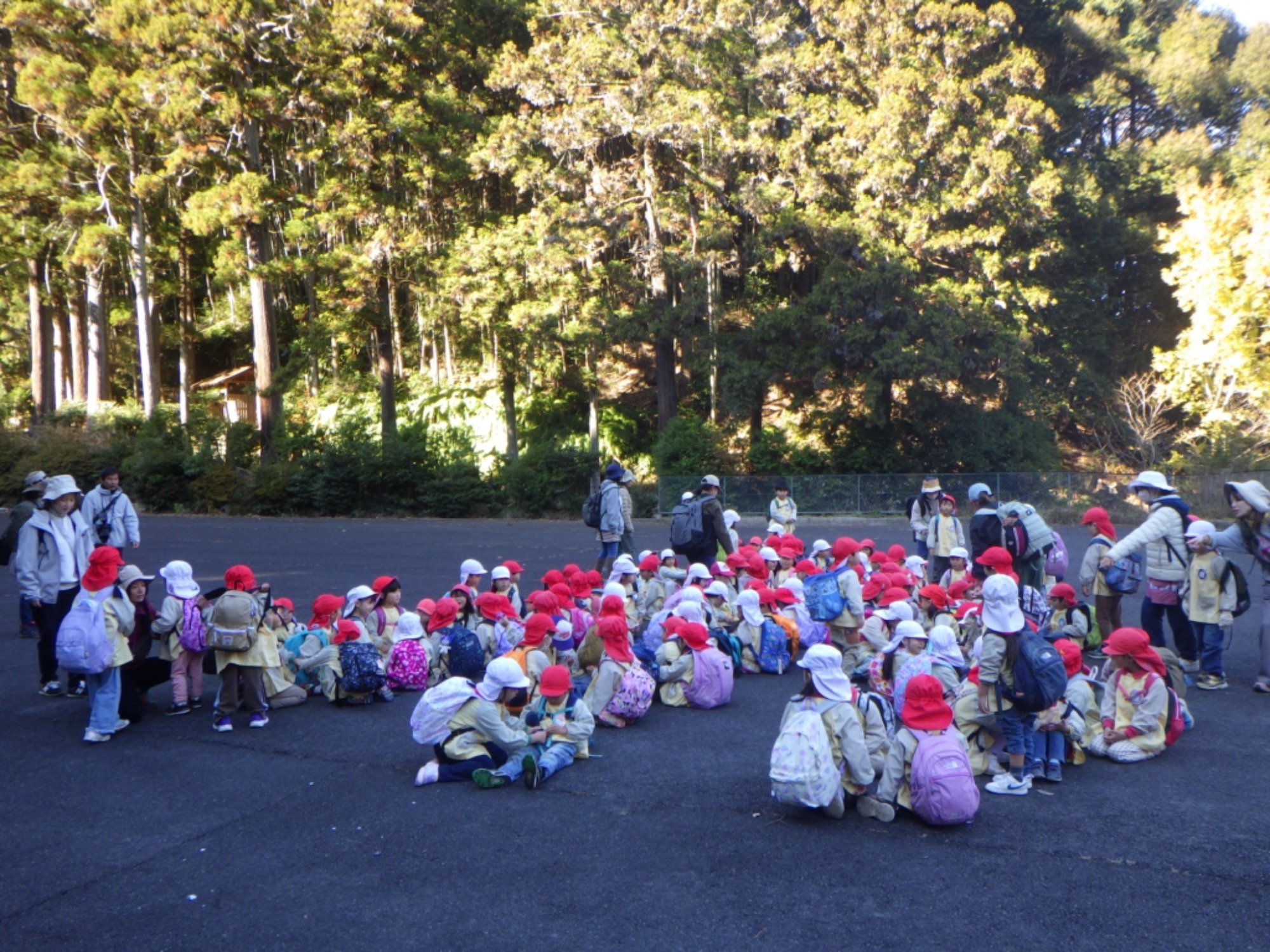 【年少・年長】12/9 合同園外保育(1/3)