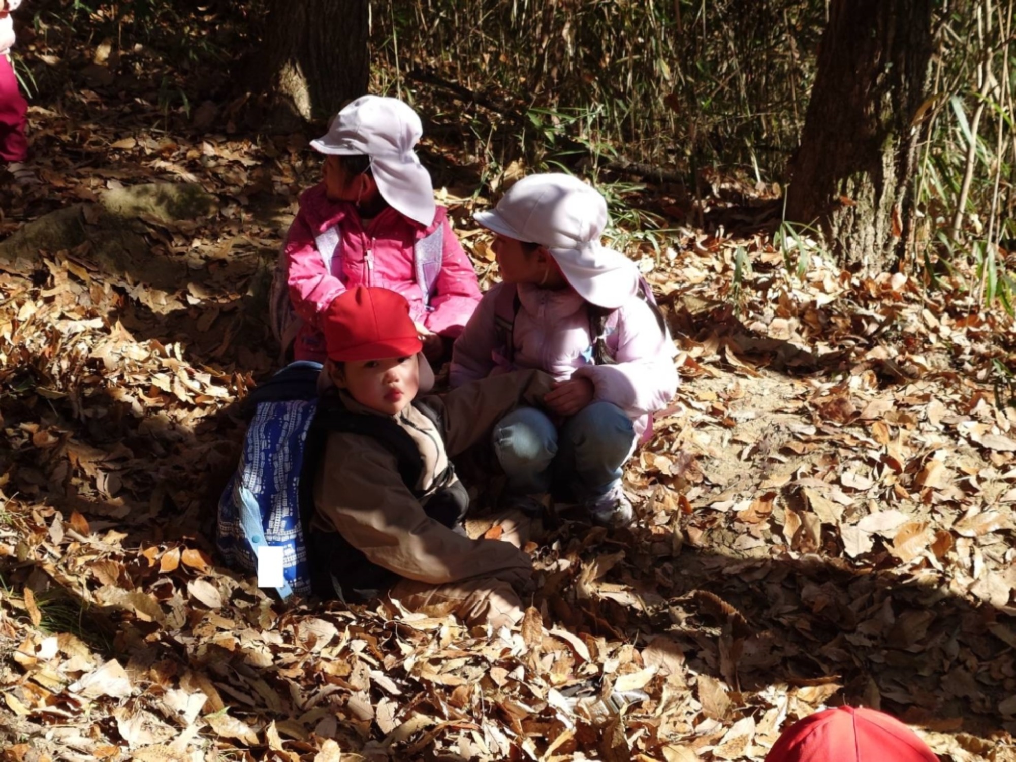 【年少・年長】12/9 合同園外保育(1/3)