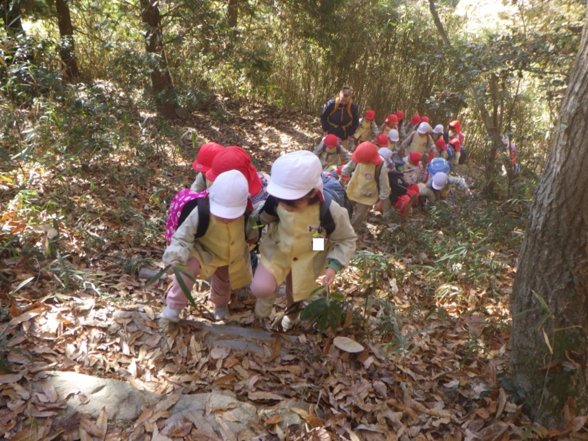 【年少・年長】12/9 合同園外保育(2/3)