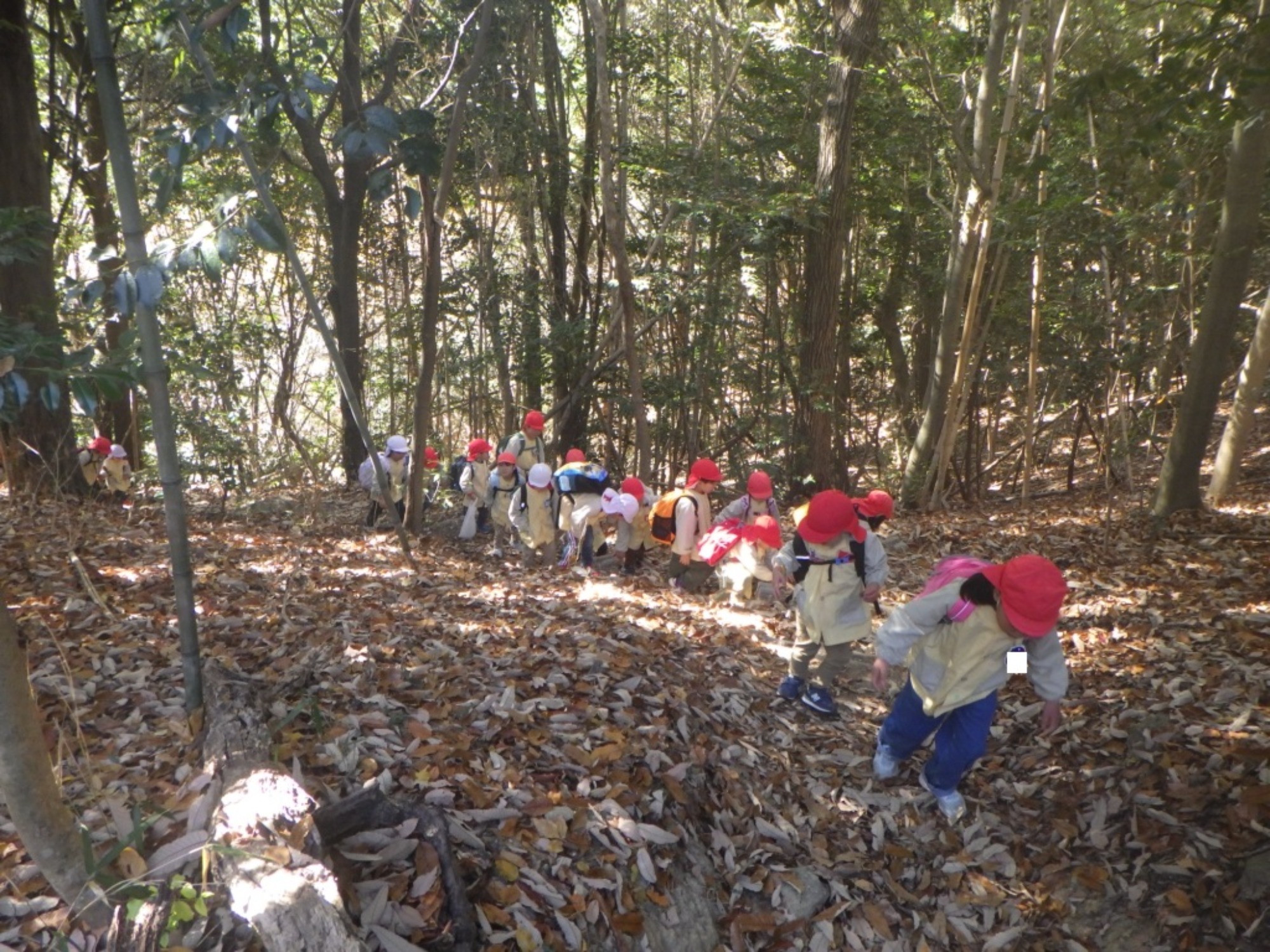 【年少・年長】12/9 合同園外保育(2/3)