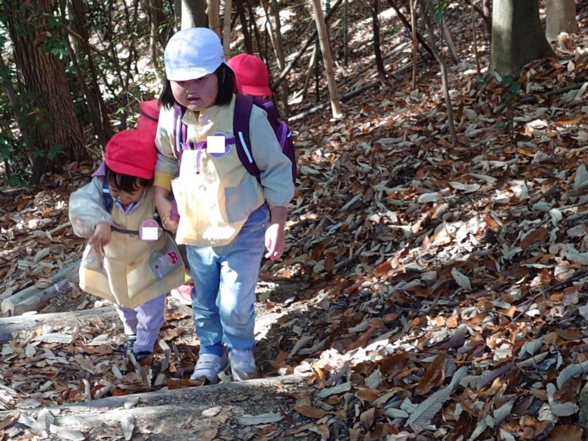 【年少・年長】12/9 合同園外保育(2/3)