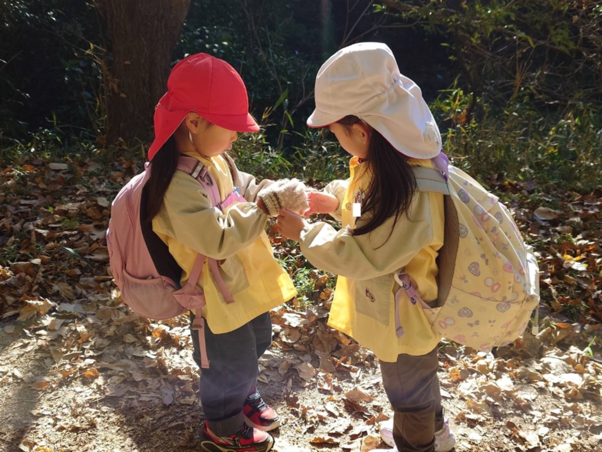 【年少・年長】12/9 合同園外保育(2/3)