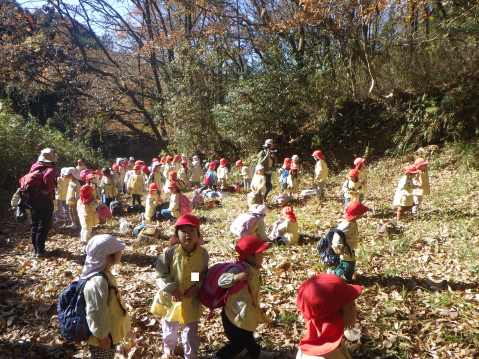 【年少・年長】12/9 合同園外保育(2/3)