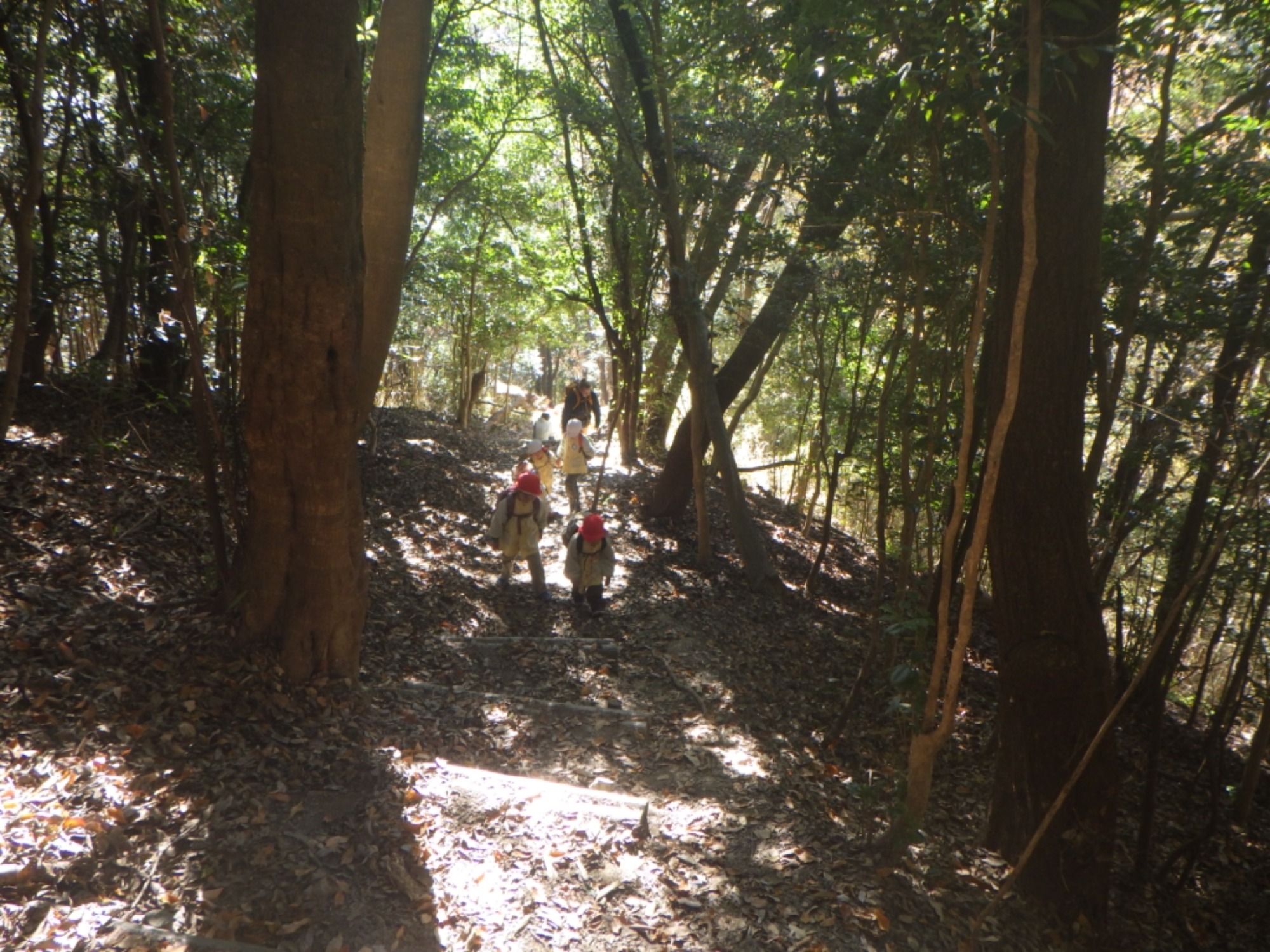 【年少・年長】12/9 合同園外保育(2/3)