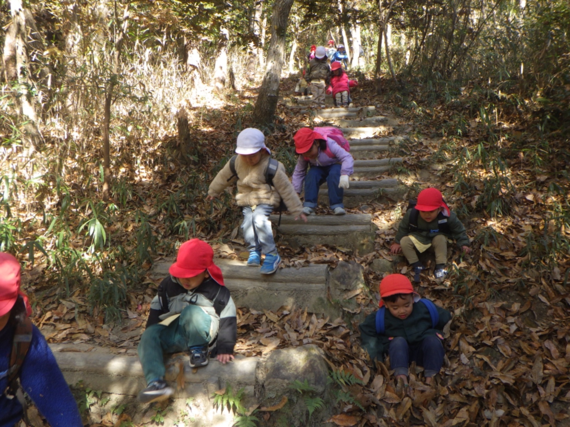 【年少・年長】12/9　合同園外保育（3/3）