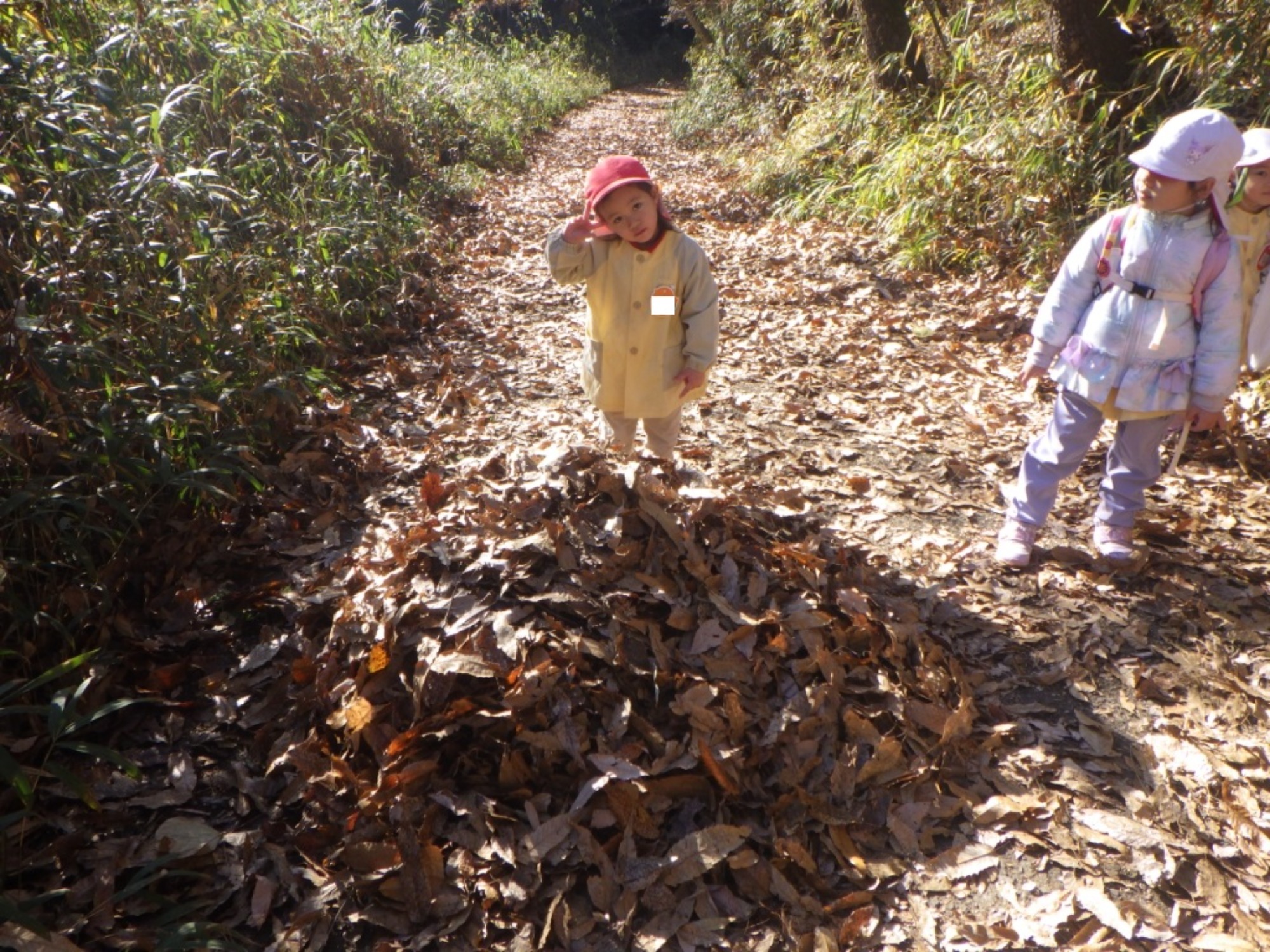 【年少・年長】12/9　合同園外保育（3/3）