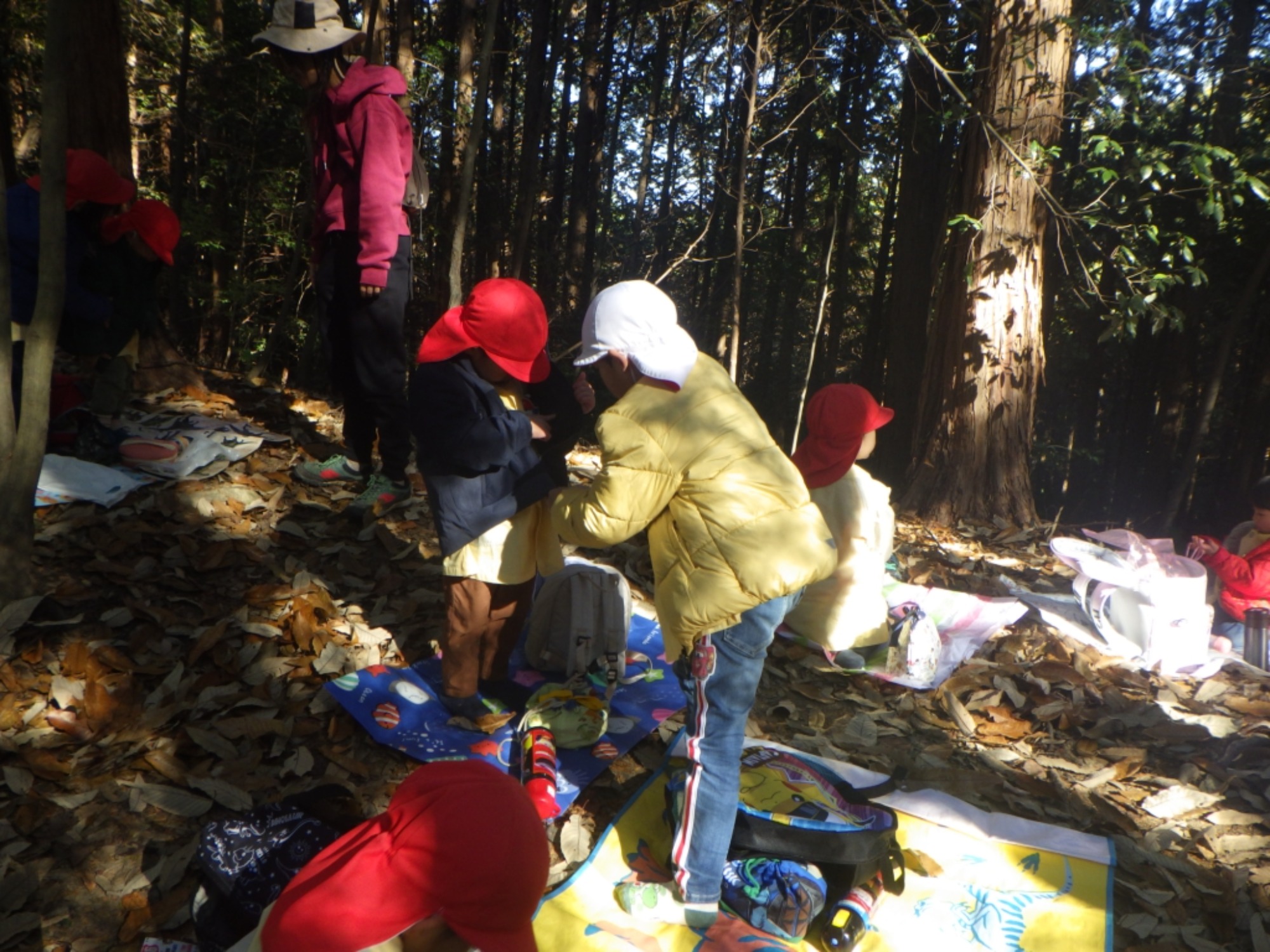 【年少・年長】12/9　合同園外保育（3/3）