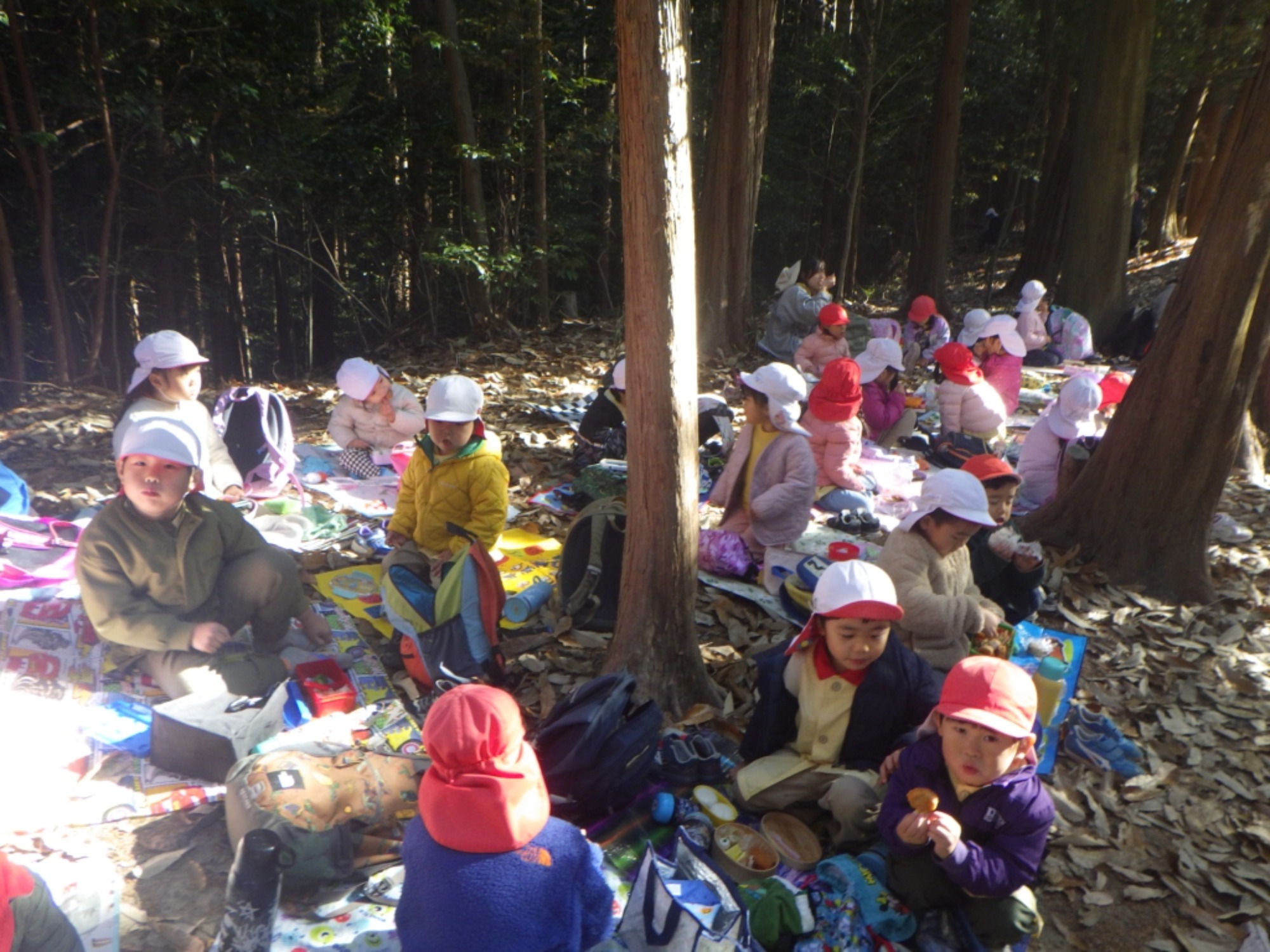 【年少・年長】12/9　合同園外保育（3/3）