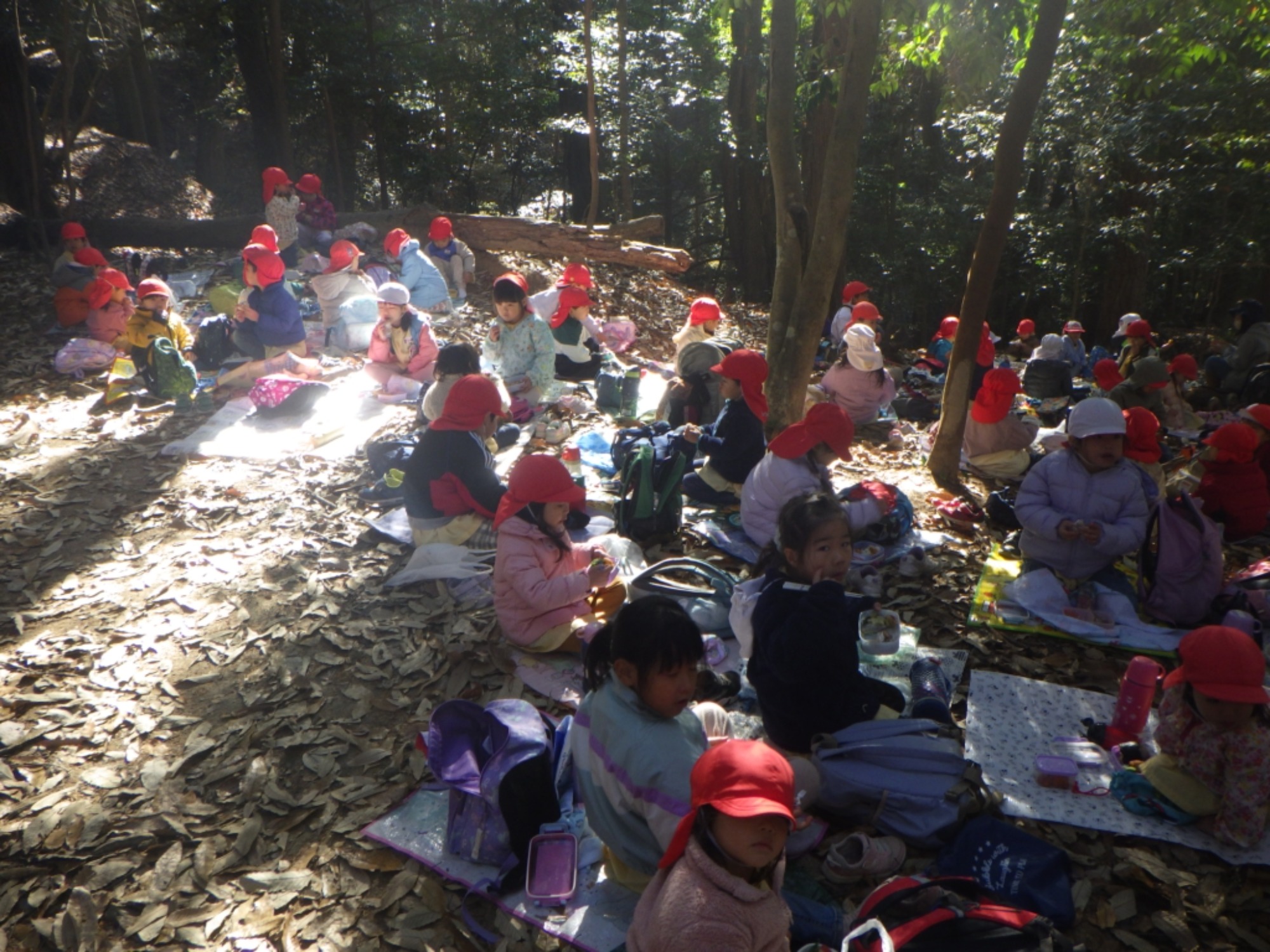 【年少・年長】12/9　合同園外保育（3/3）