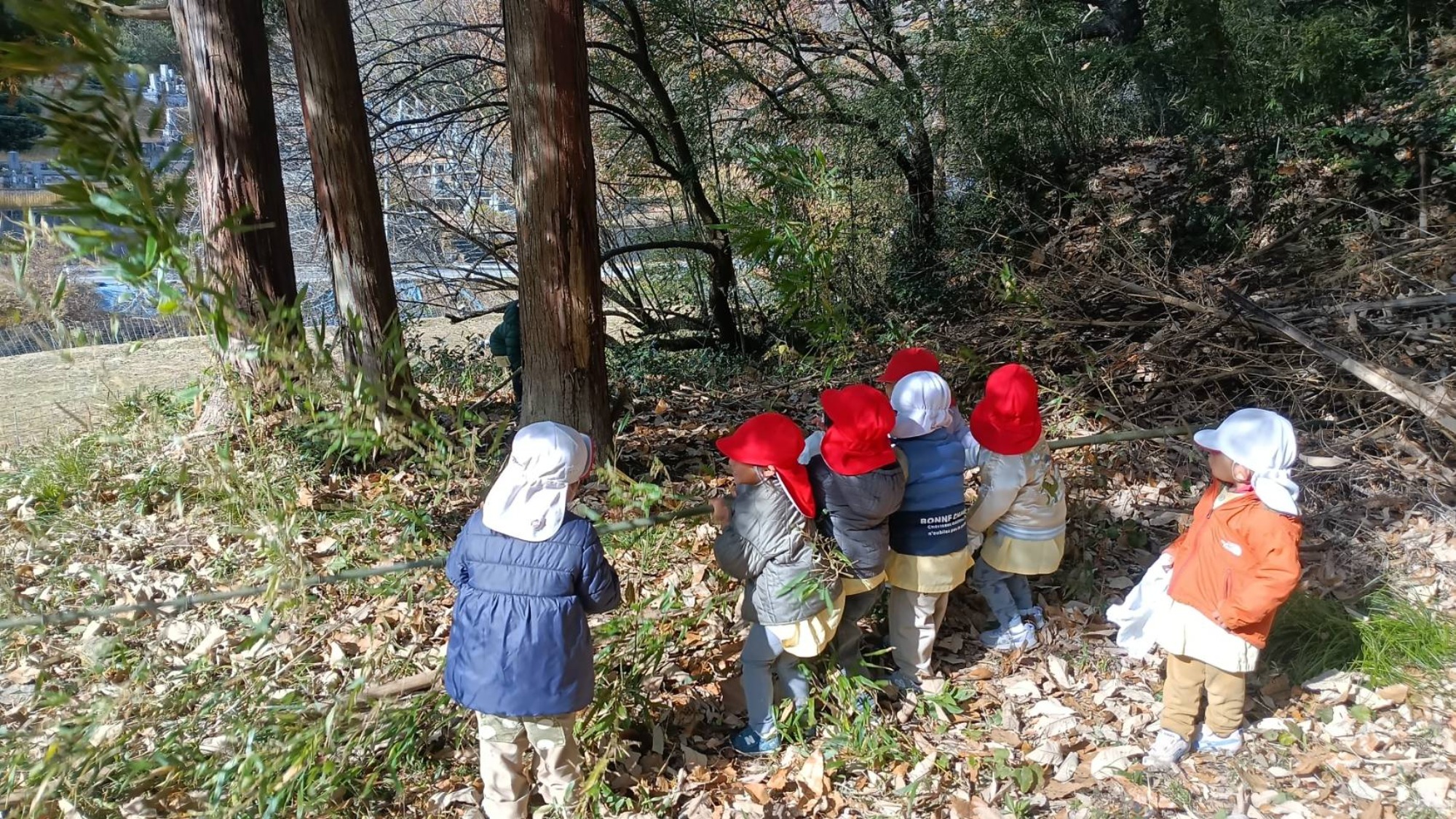 【くも】12/11 村積山 園外保育