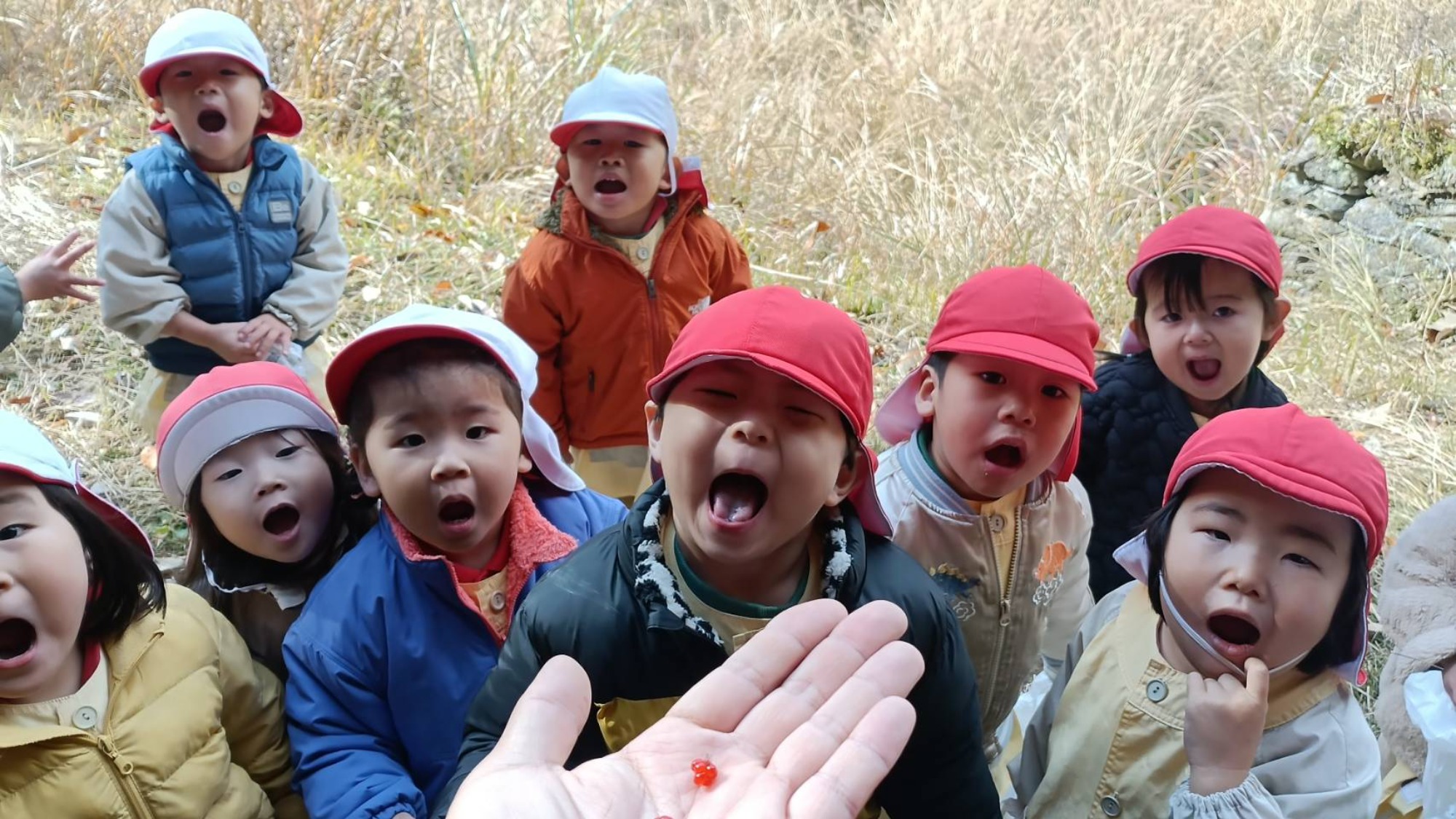 【くも】12/11 村積山 園外保育