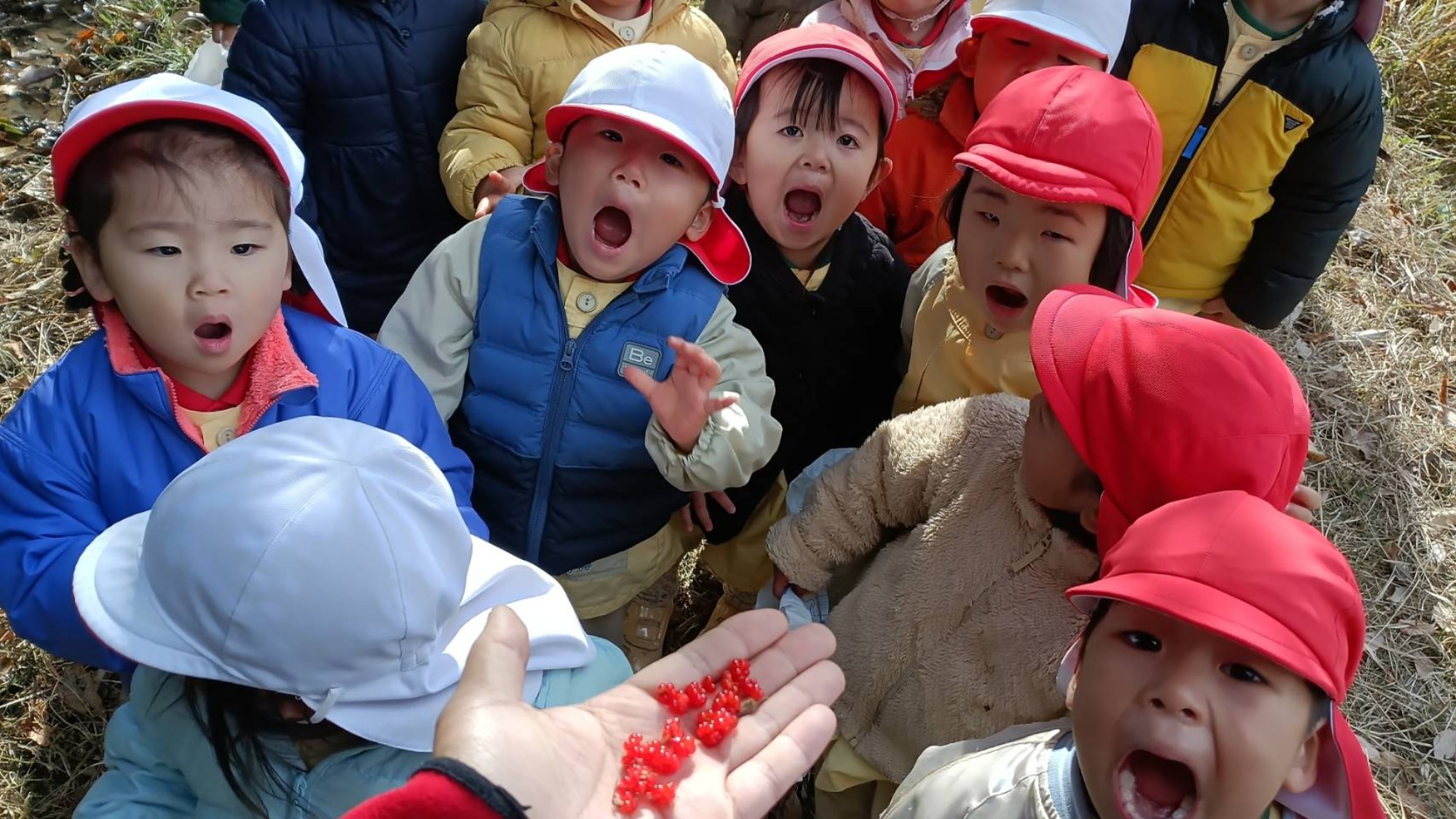 【くも】12/11 村積山 園外保育