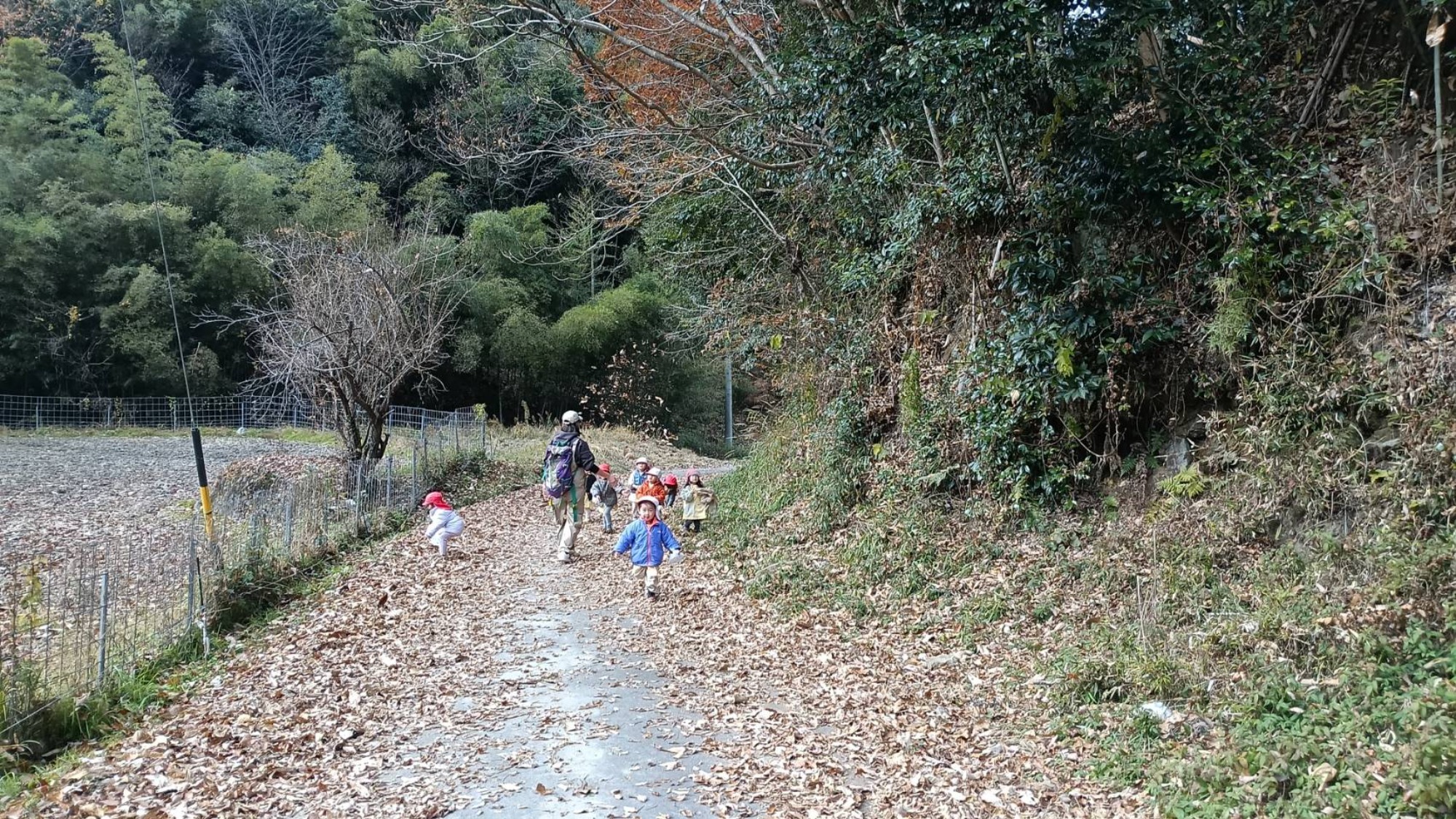 【くも】12/11 村積山 園外保育