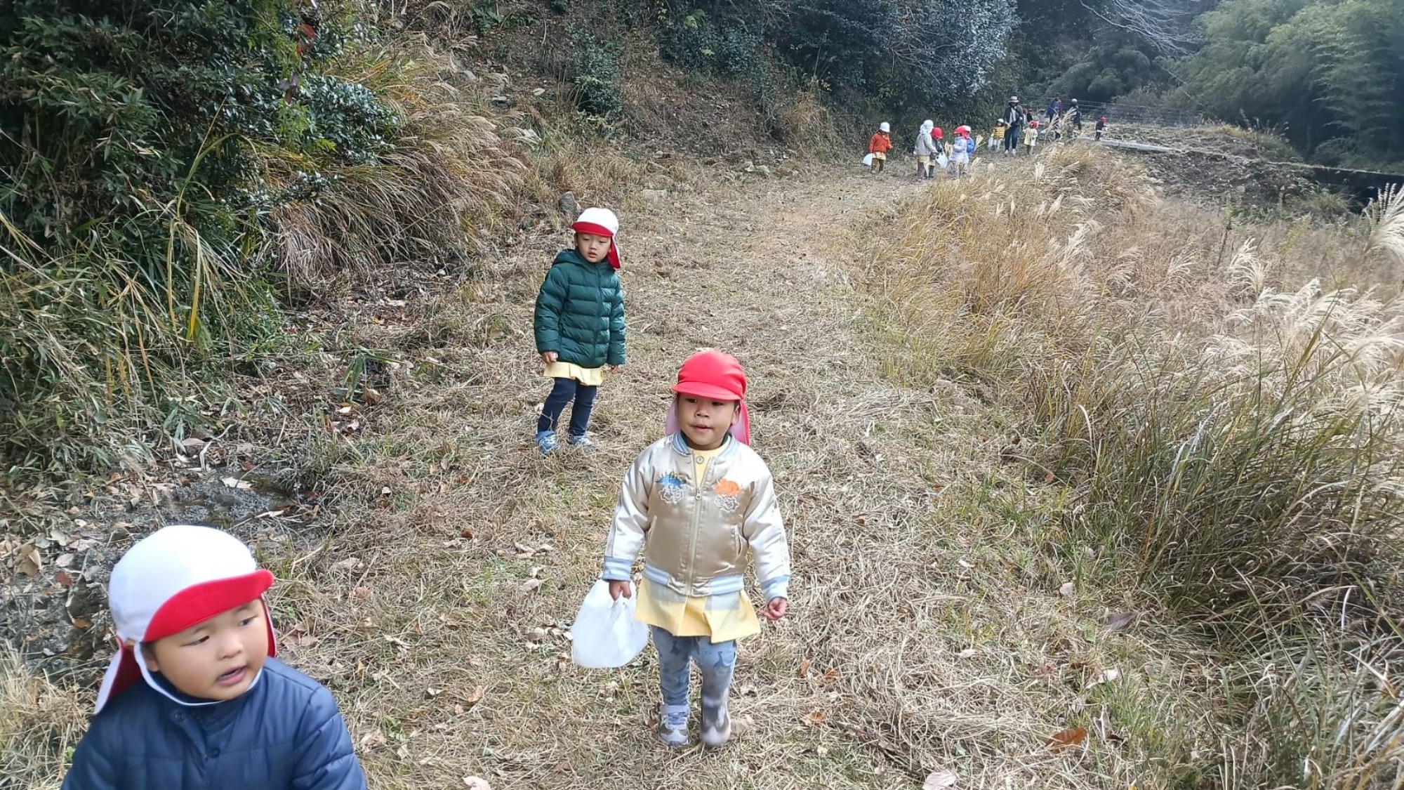 【くも】12/11 村積山 園外保育