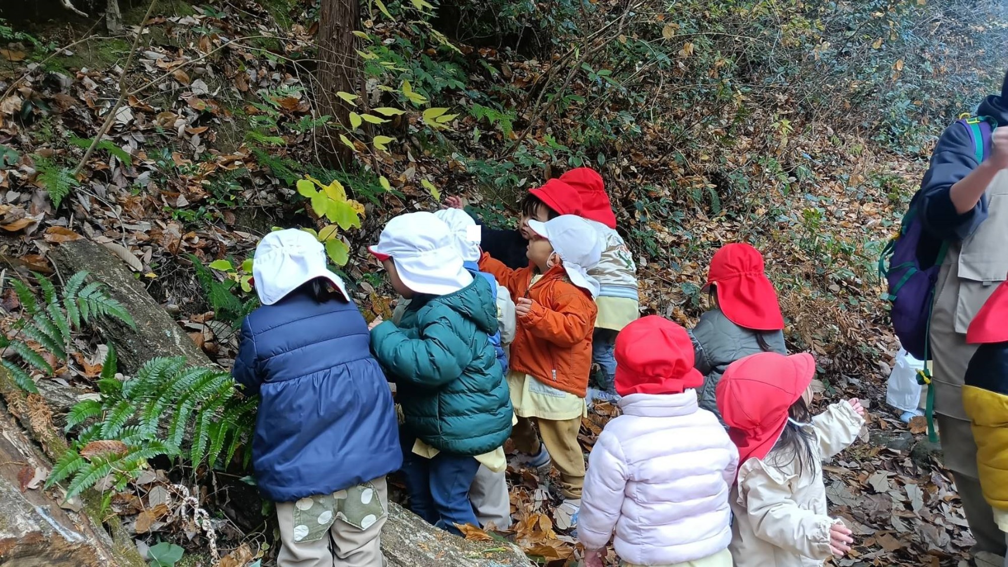 【くも】12/11 村積山 園外保育