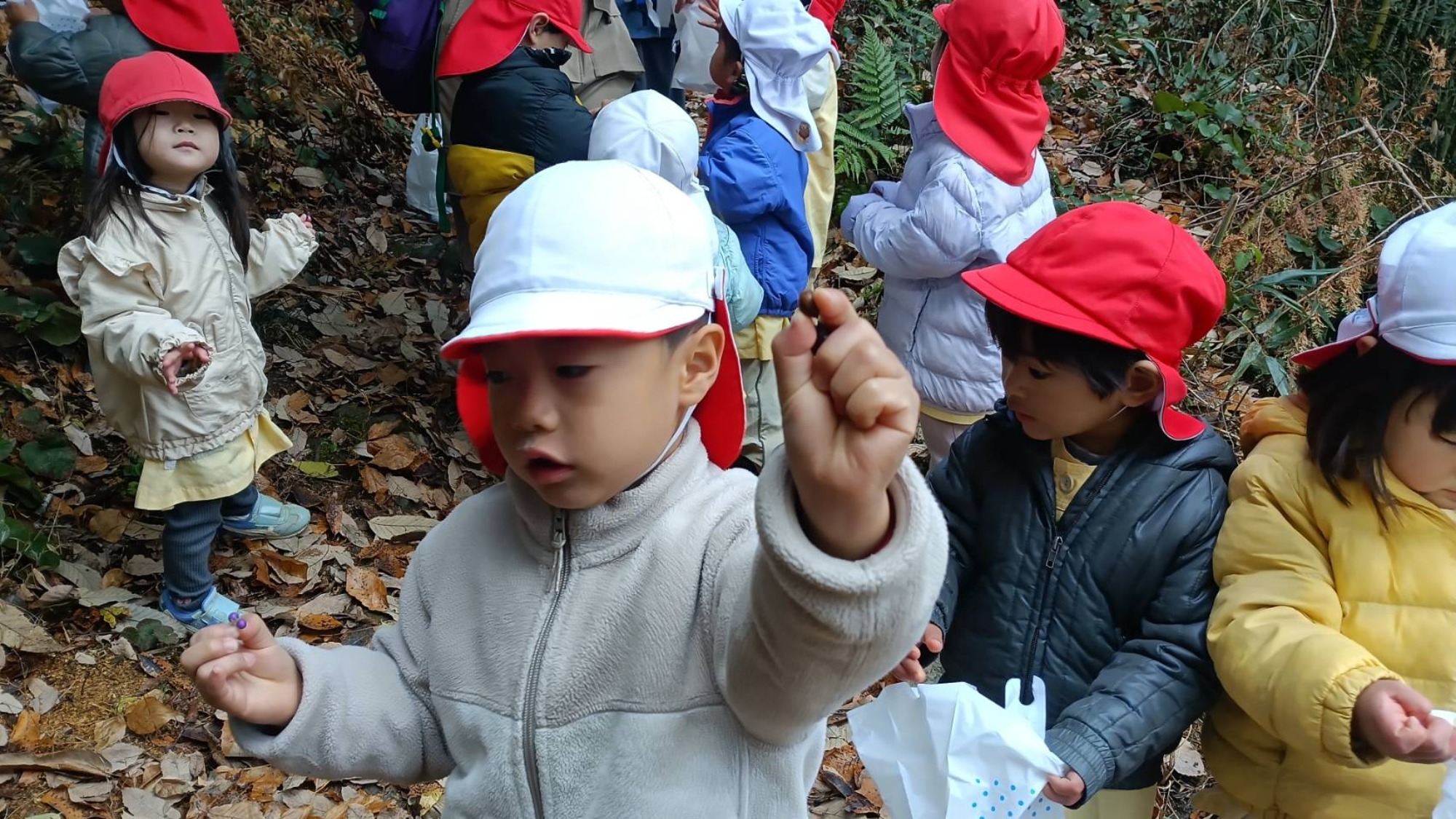 【くも】12/11 村積山 園外保育
