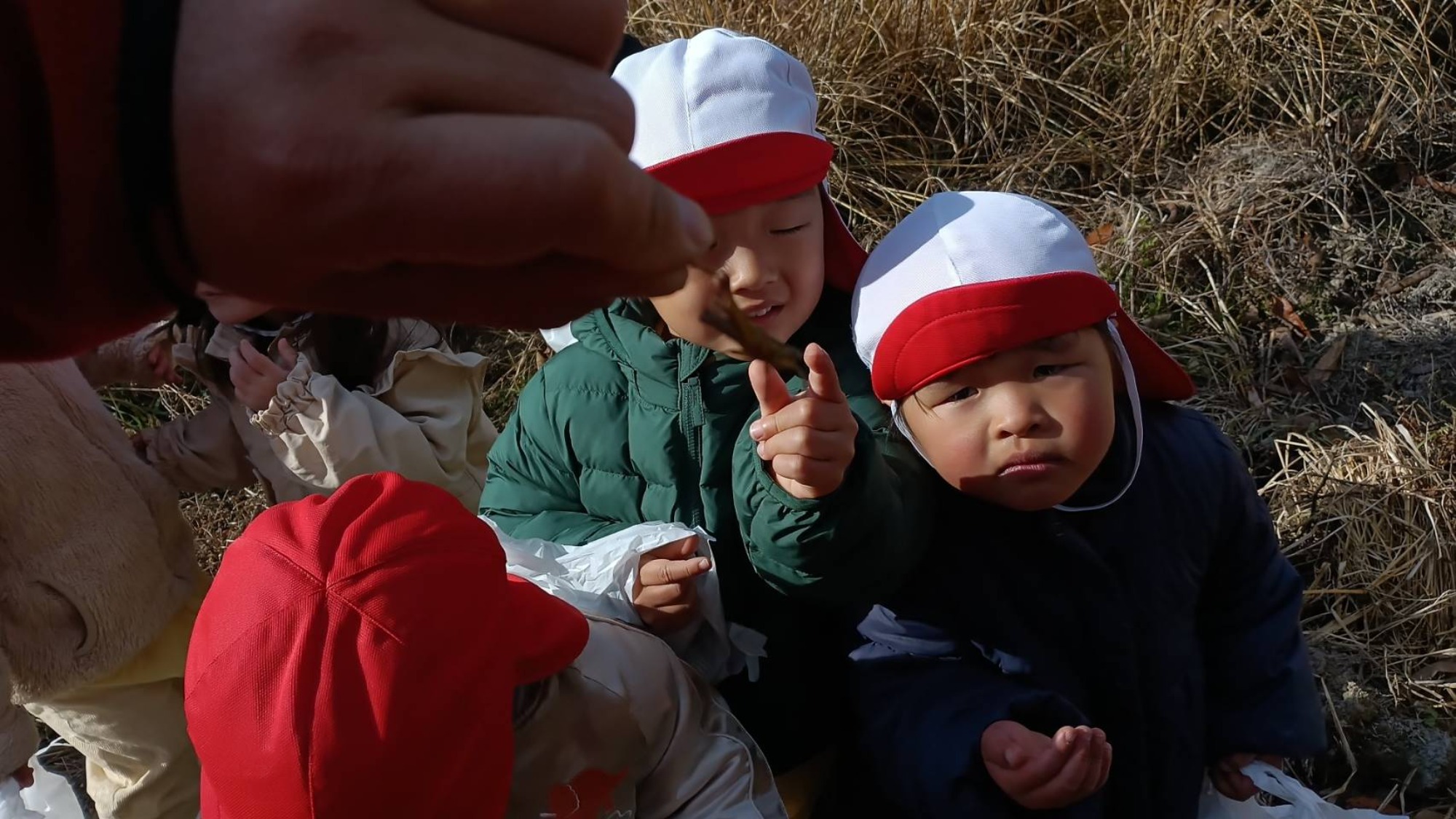 【くも】12/11 村積山 園外保育